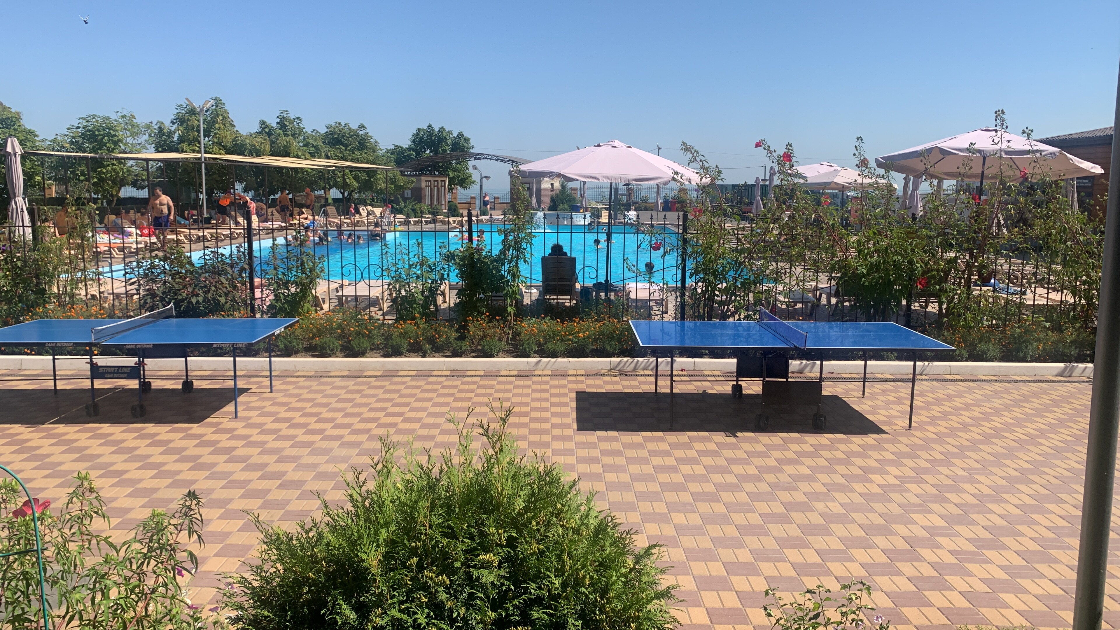 Фото Star Crystal