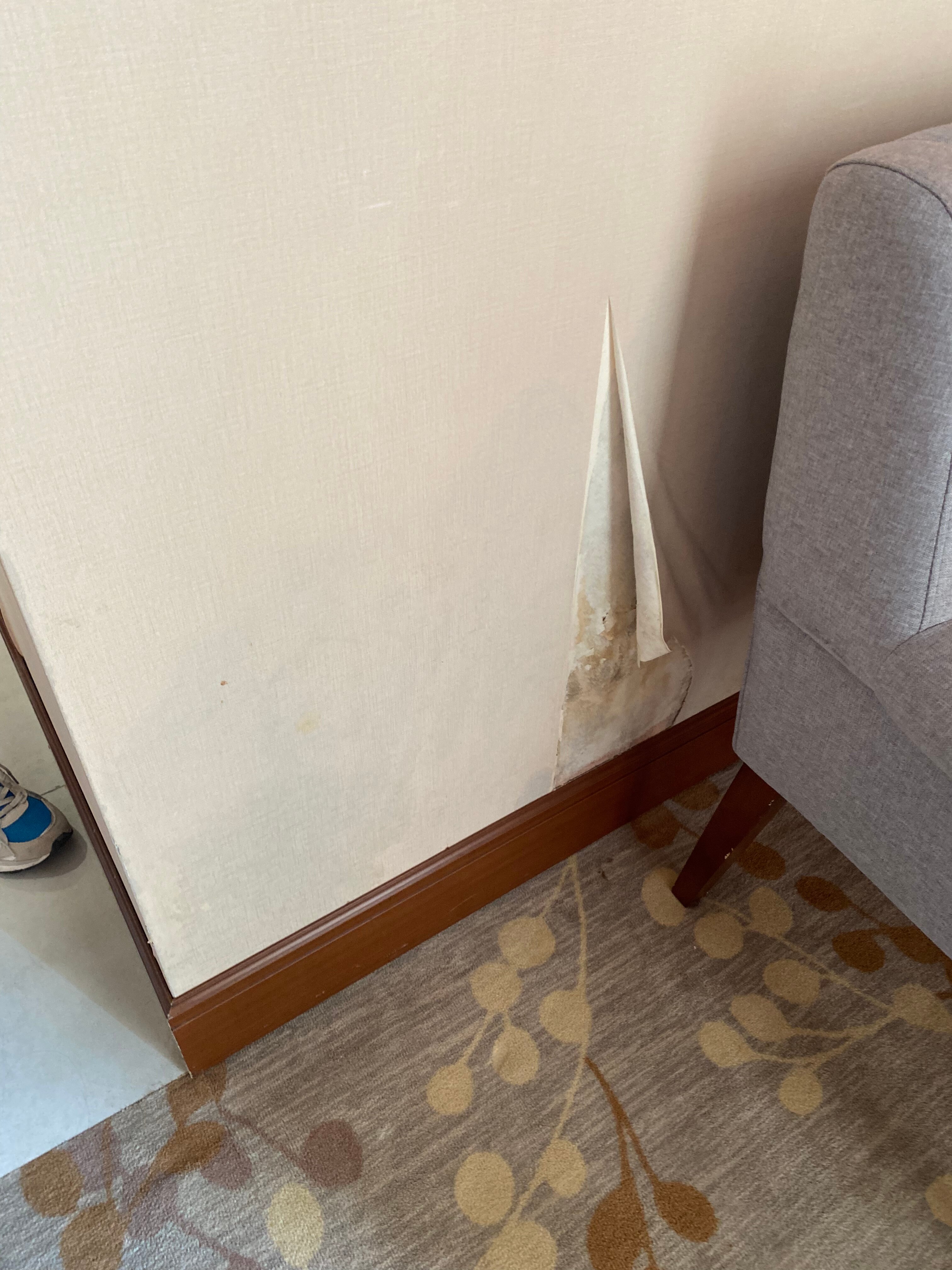 Фото Reikartz Horizont Тбилиси