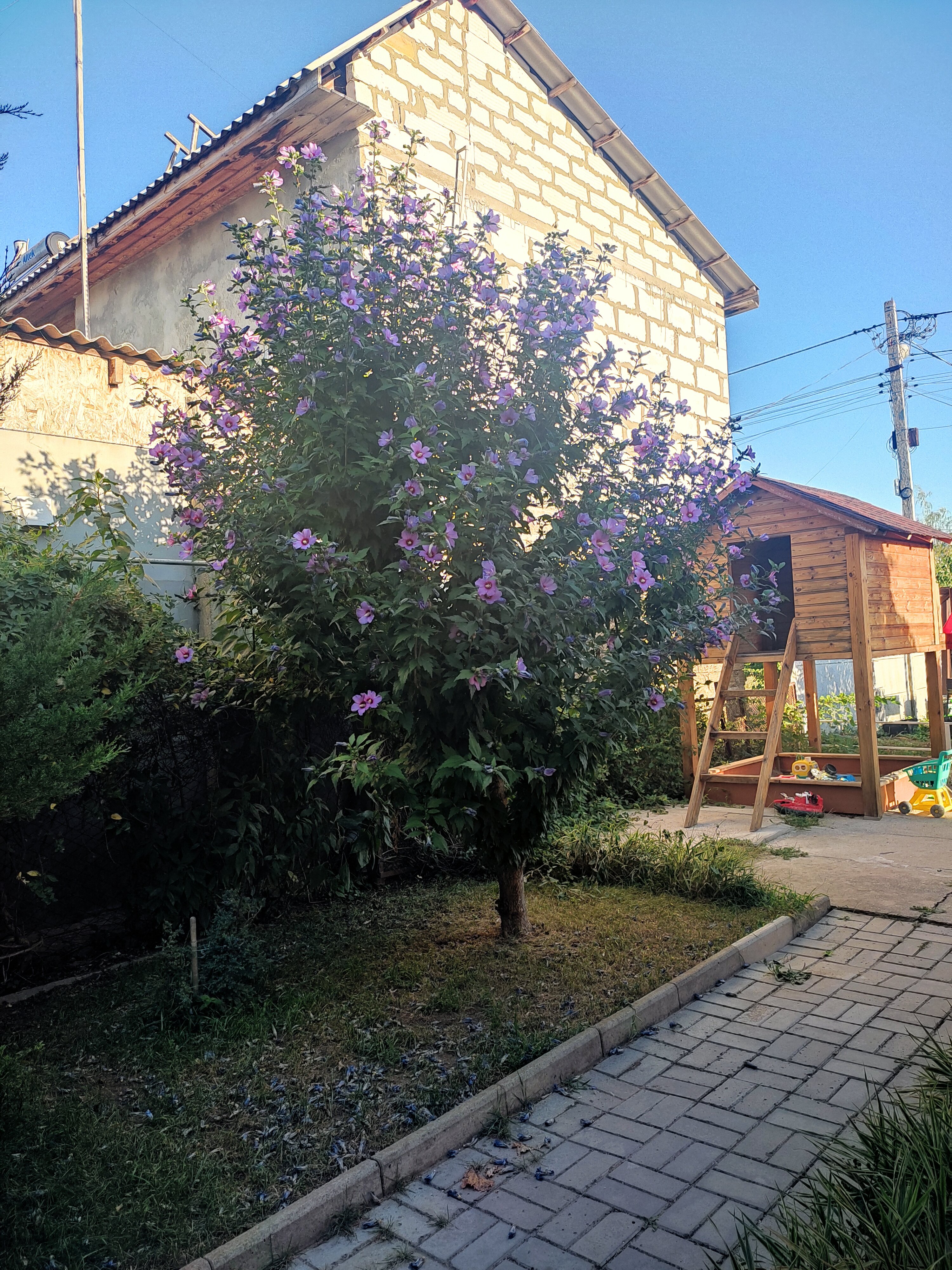 Фото Гармония