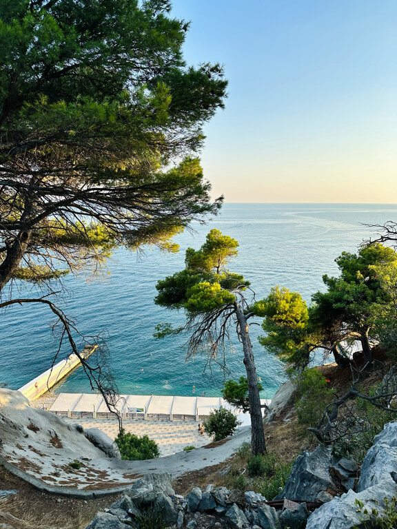 Фото Парковый спуск