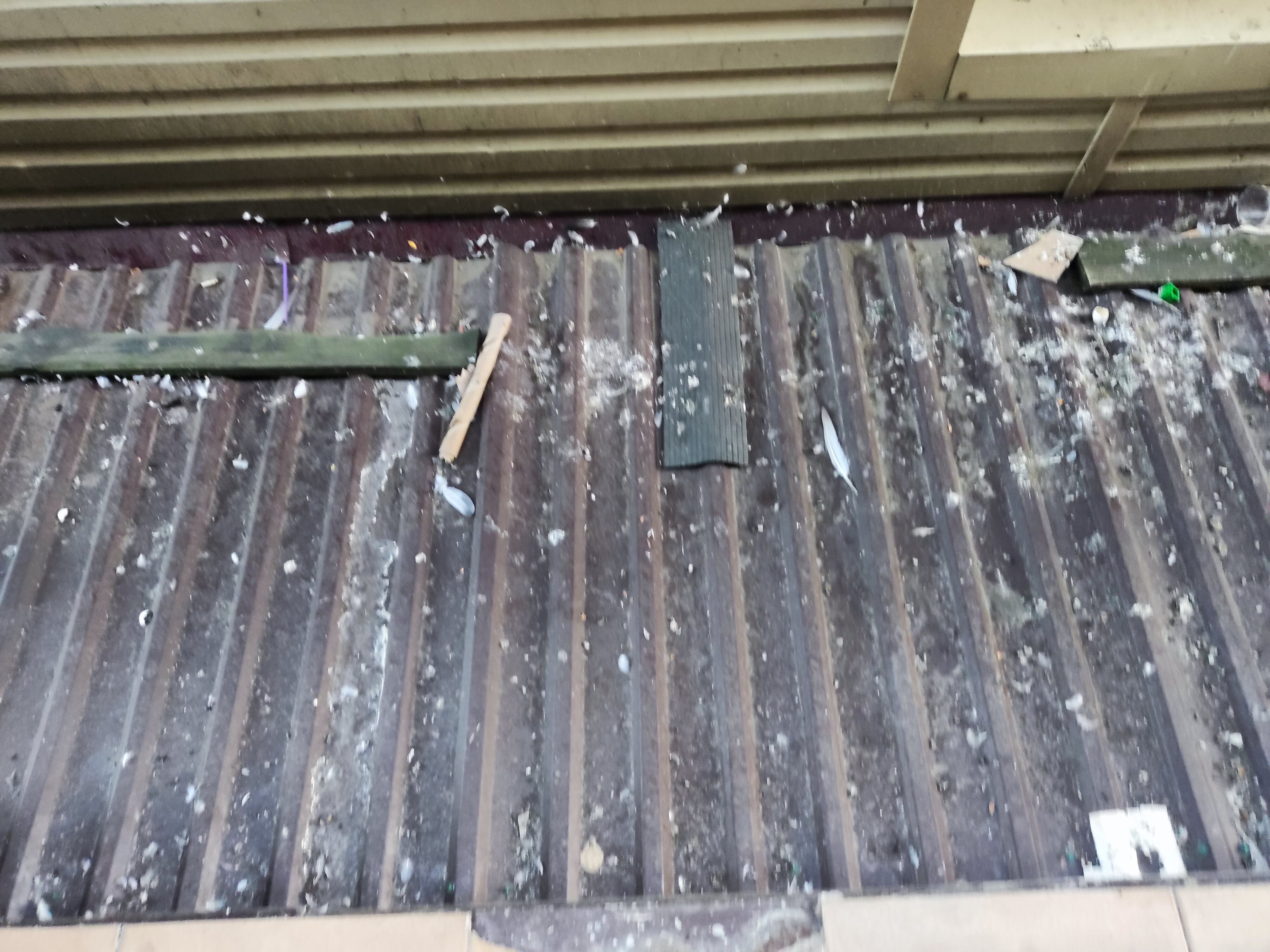 Фото Атланта