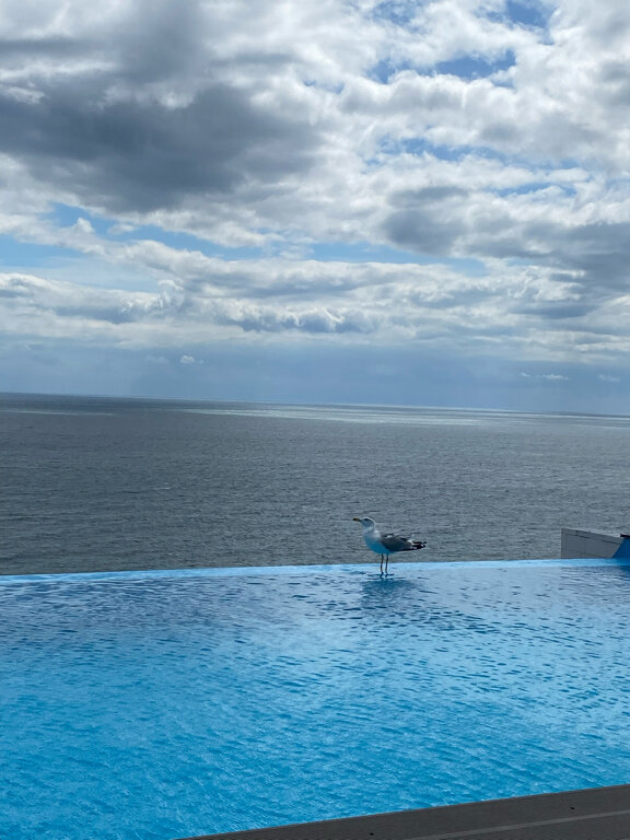 Фото На Высоте