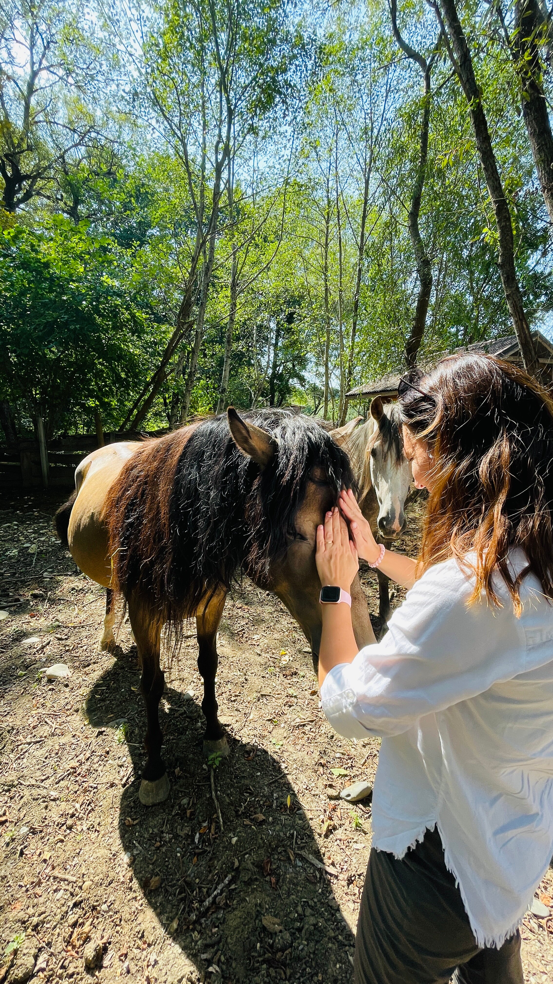 Фото Магия природы