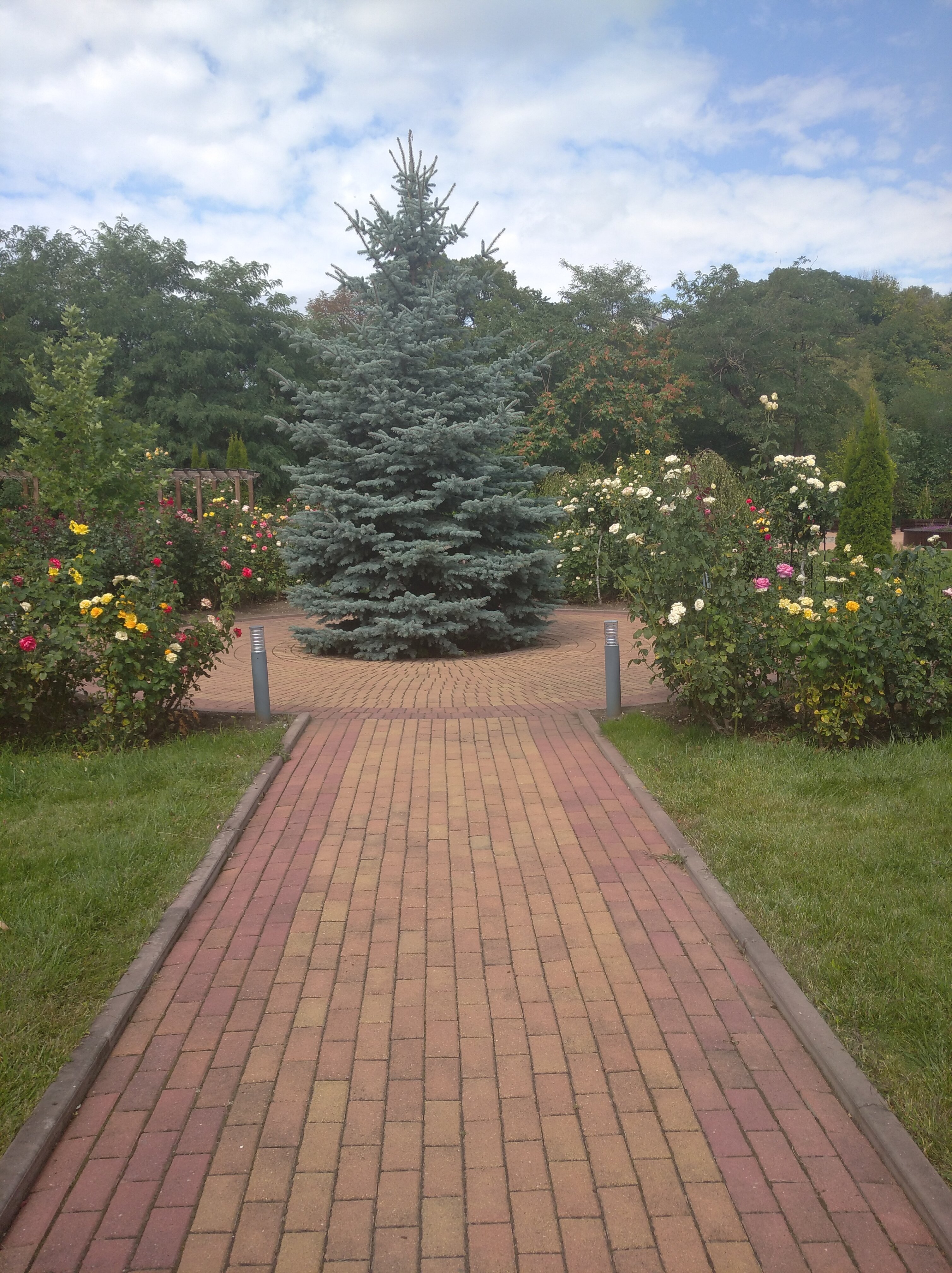 Фото Green Resort