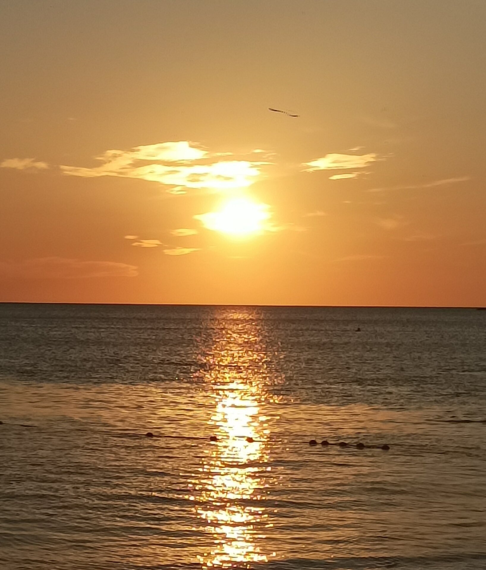 Фото Кронос