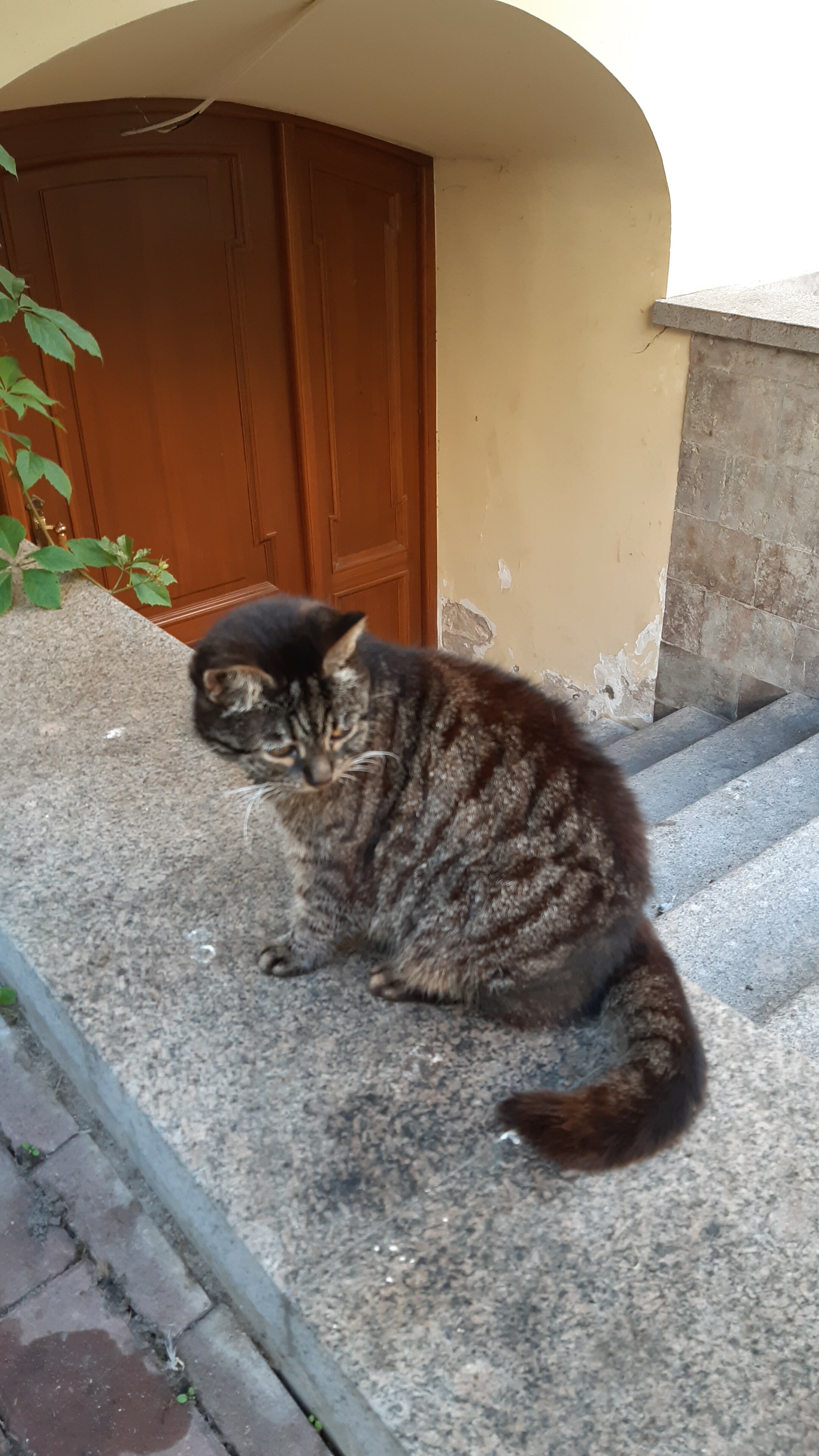 Фото Катарина Арт Отель