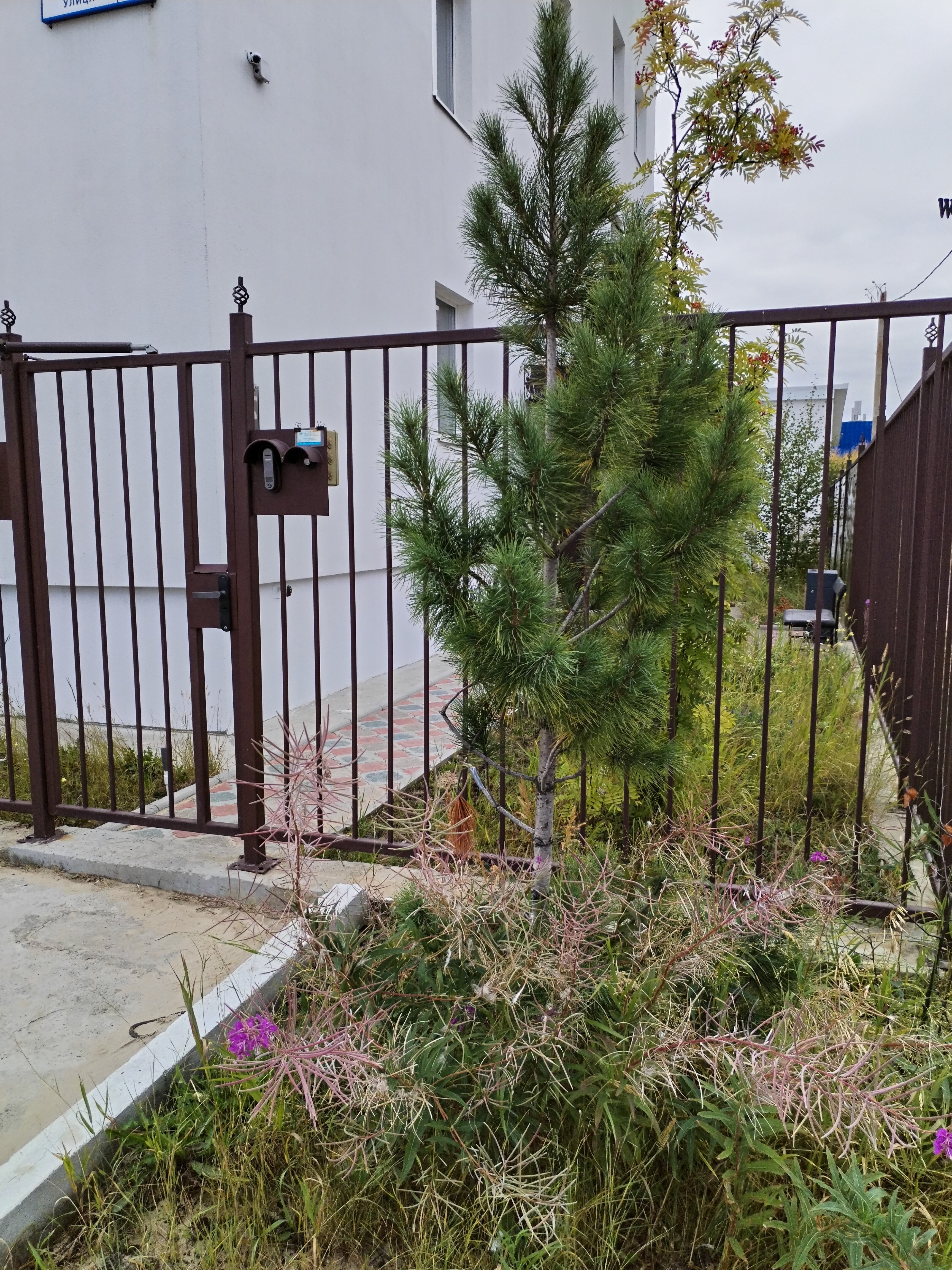 Фото Заозерный