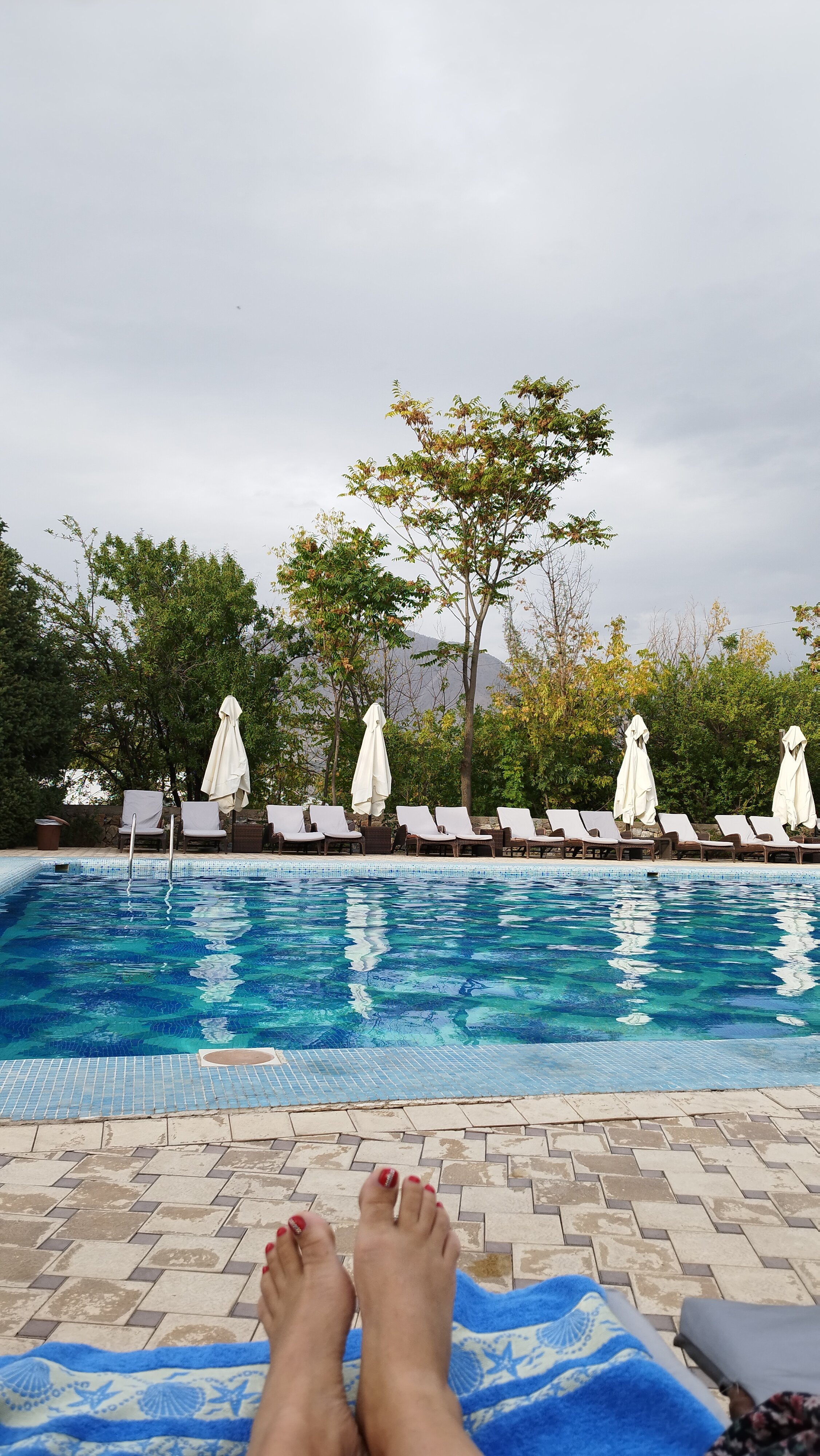 Фото Avenue Park Hotel