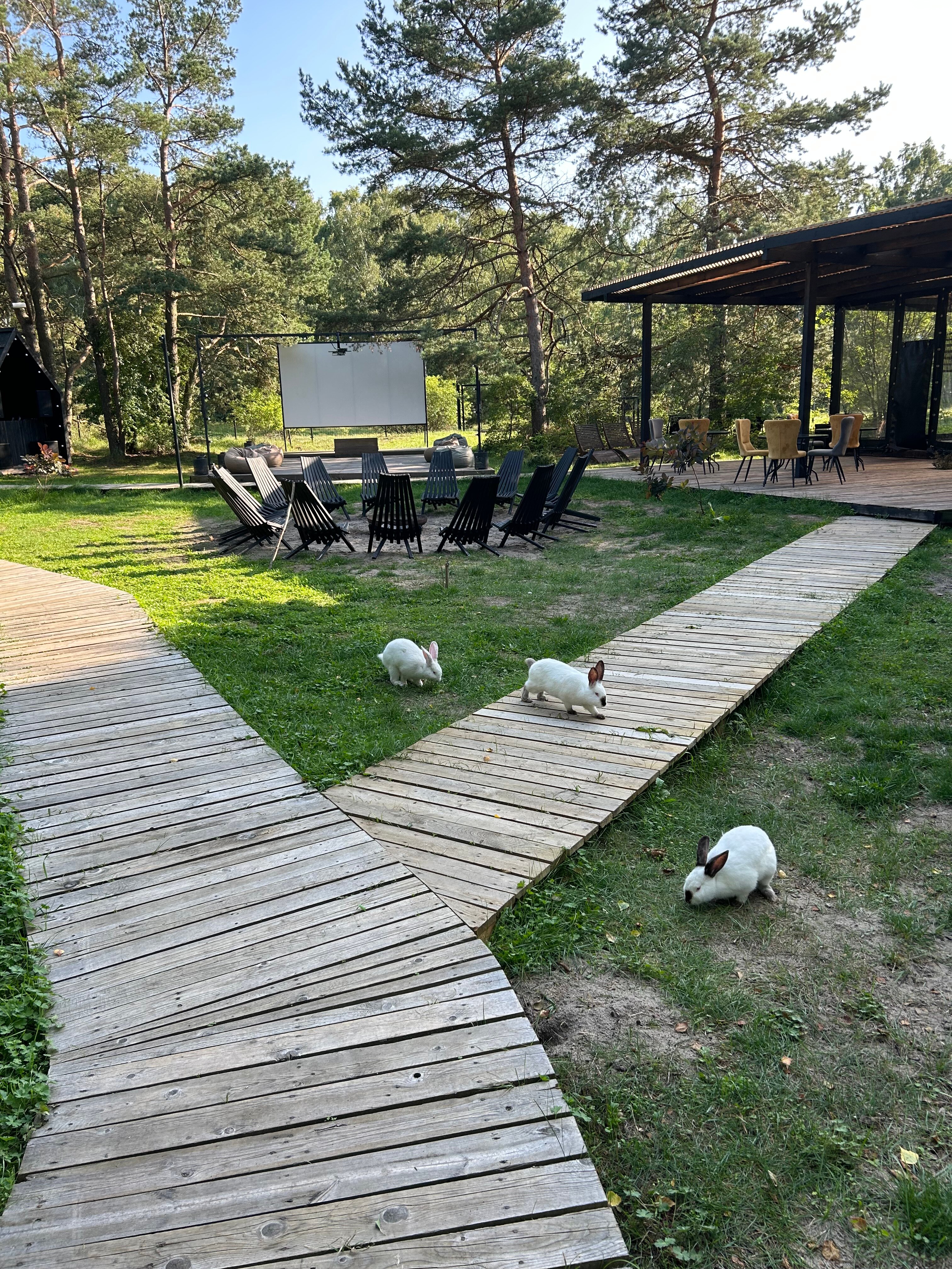 Фото Polyana Glamping