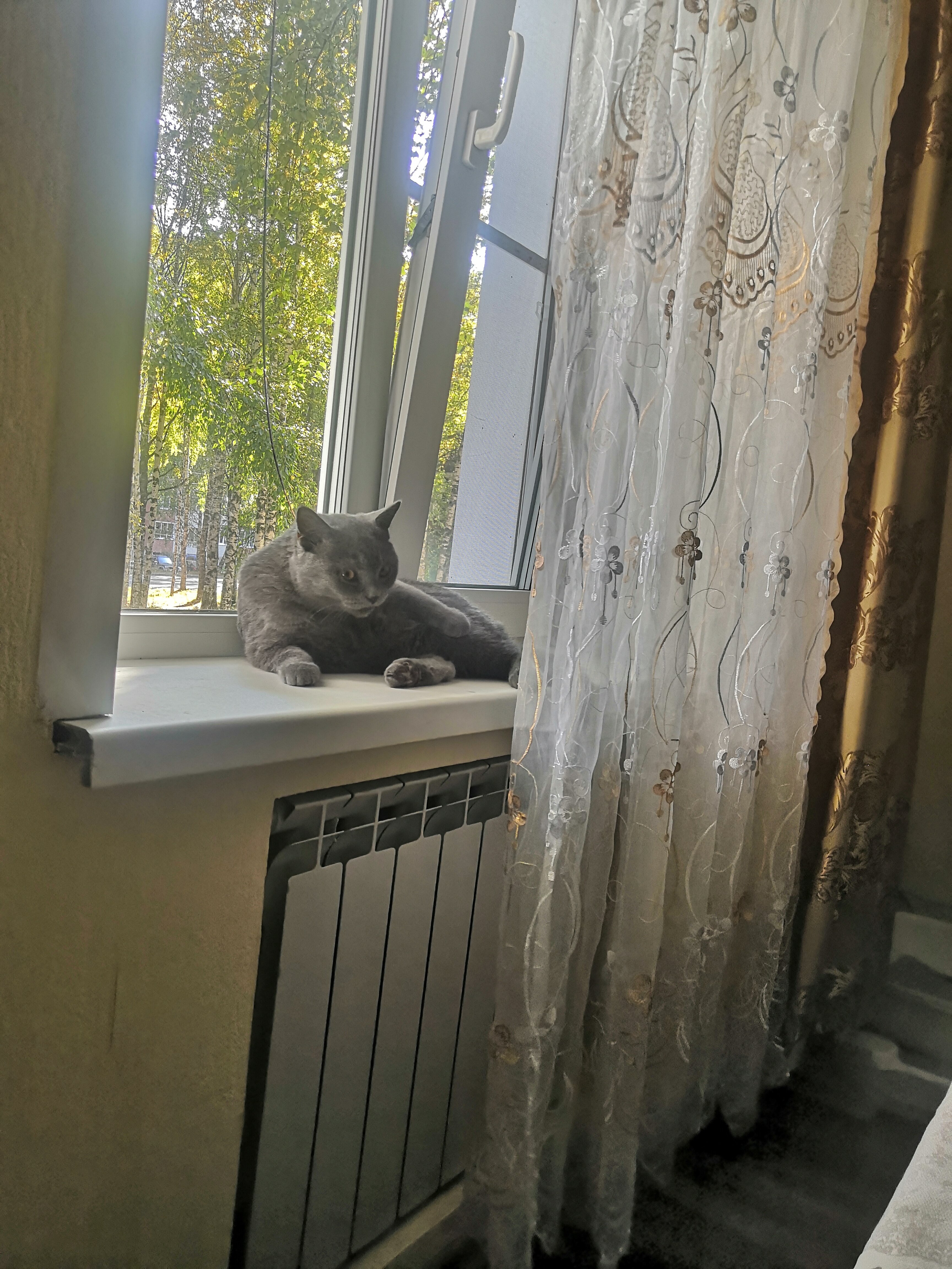 Фото Валенсия