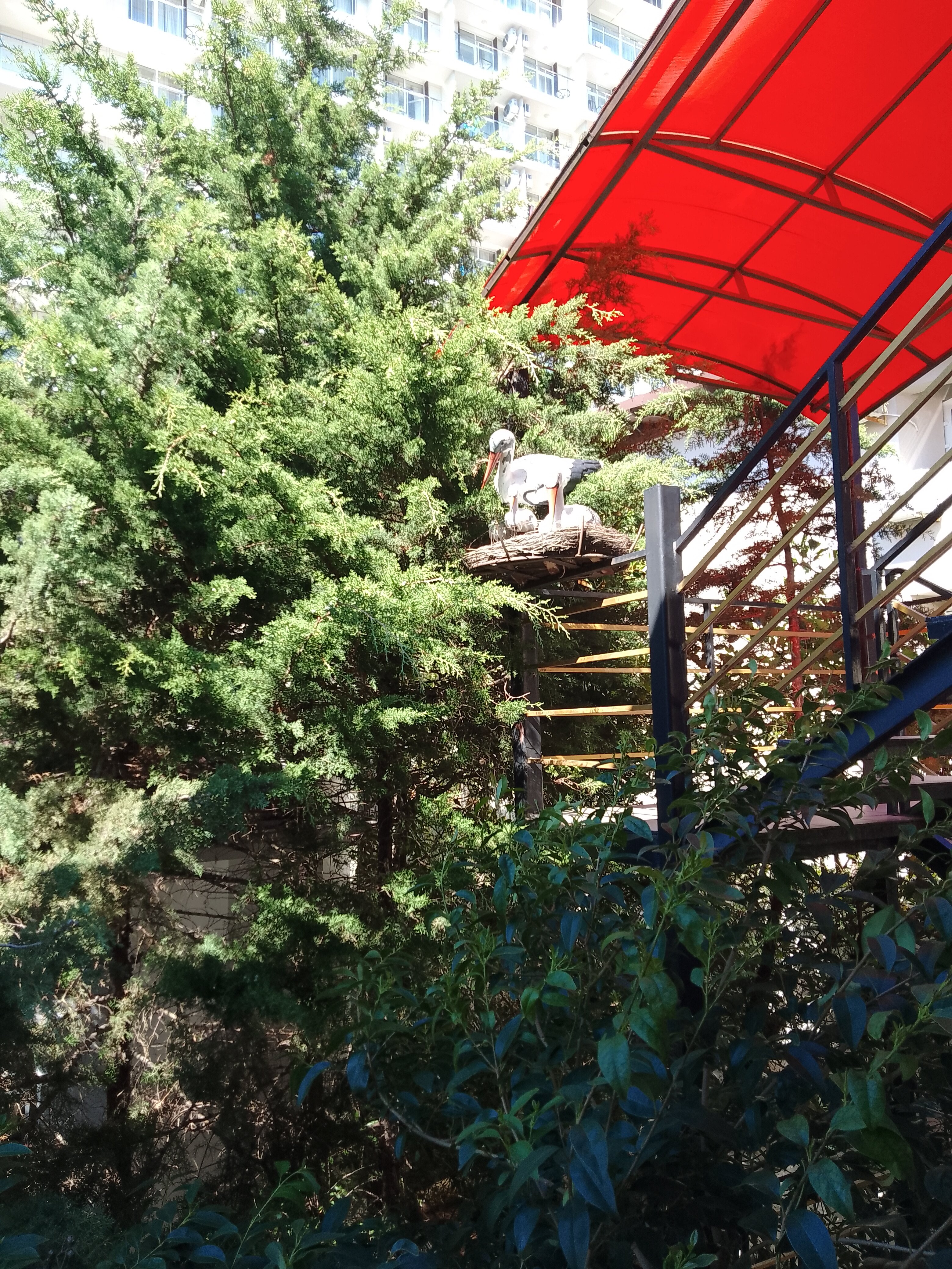 Фото Сахалин