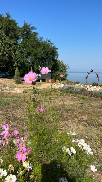 Фото Вилла 4 чайки