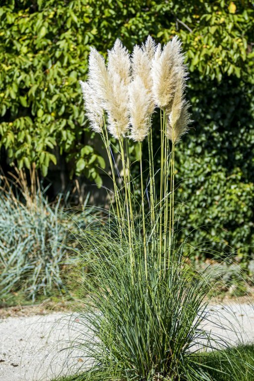 Фото Feng Shui Wellness Apartmanház