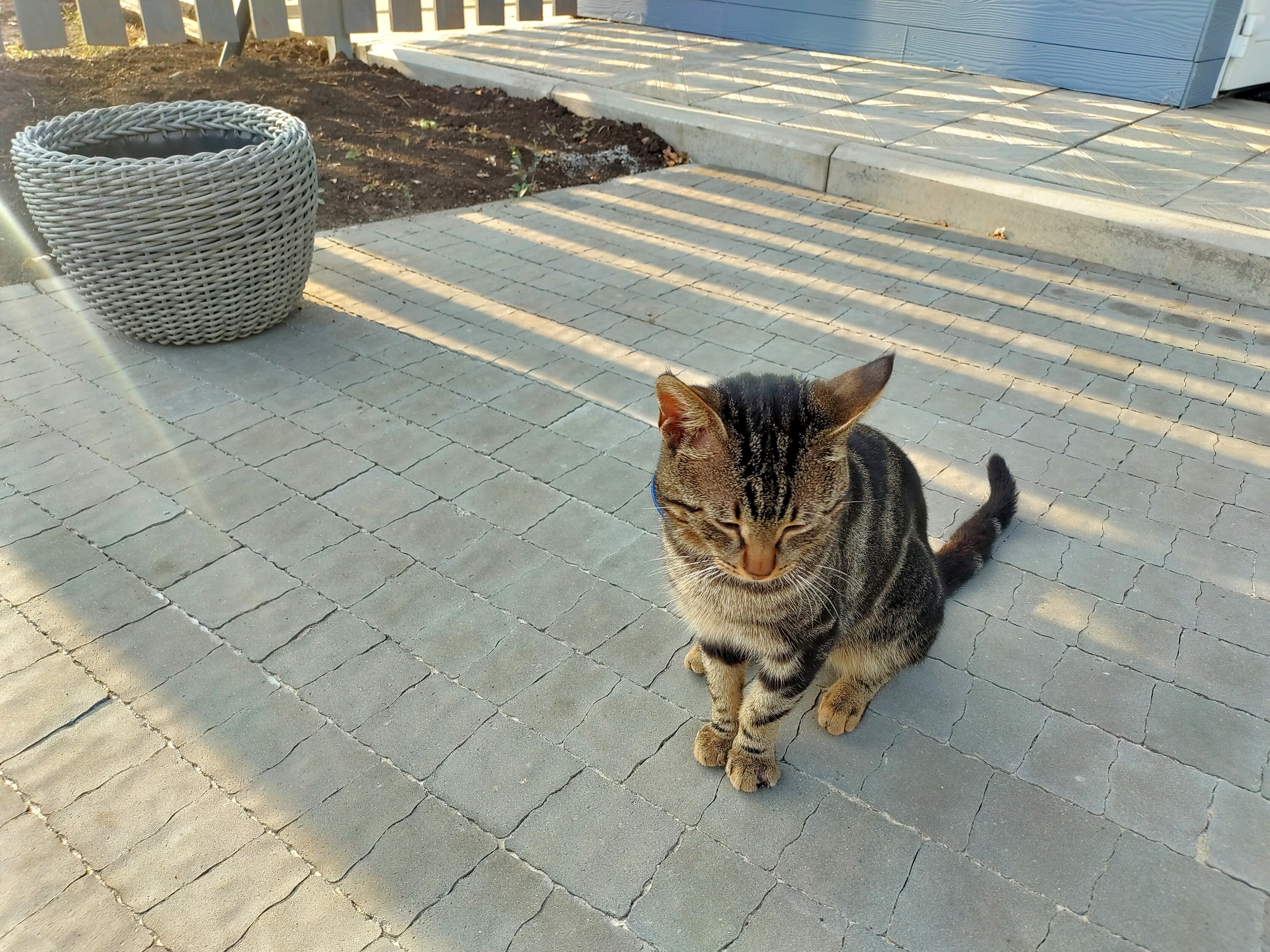 Фото Тихий дворик