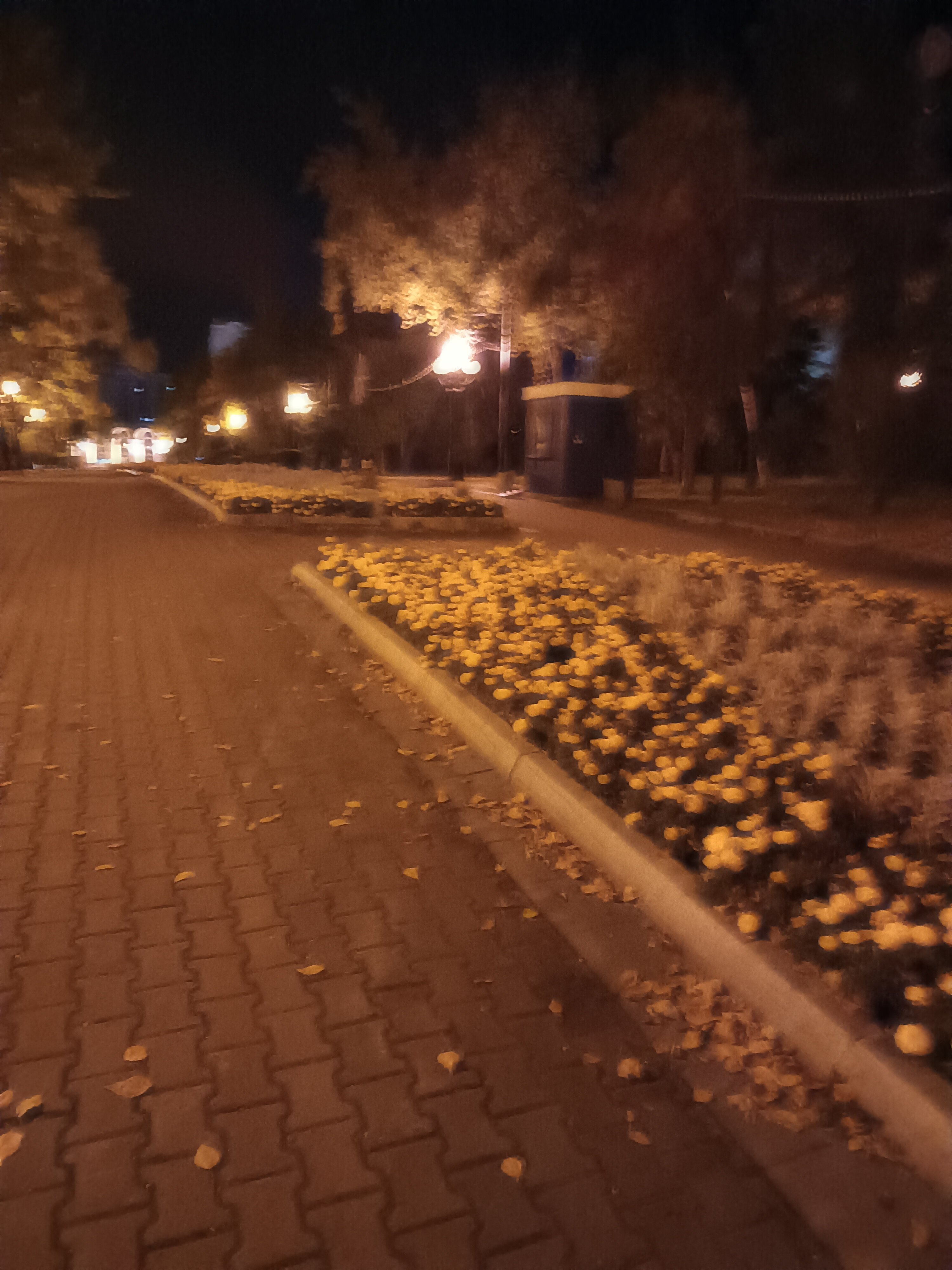 Фото Парк Отель