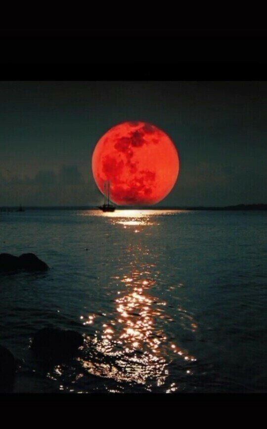 Фото Гостевой Дом Лазурный Берег