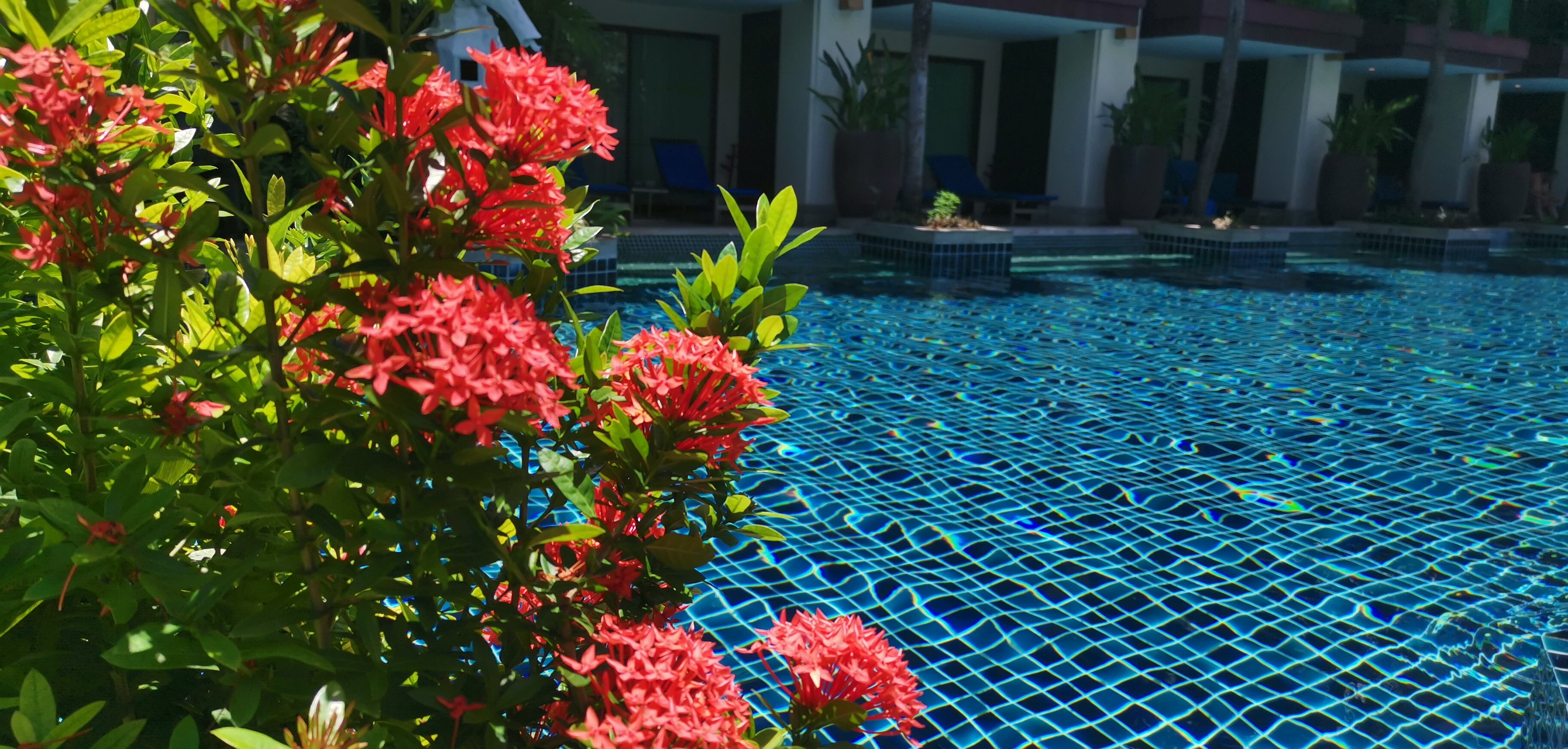 Фото Phuket Graceland Resort and SPA