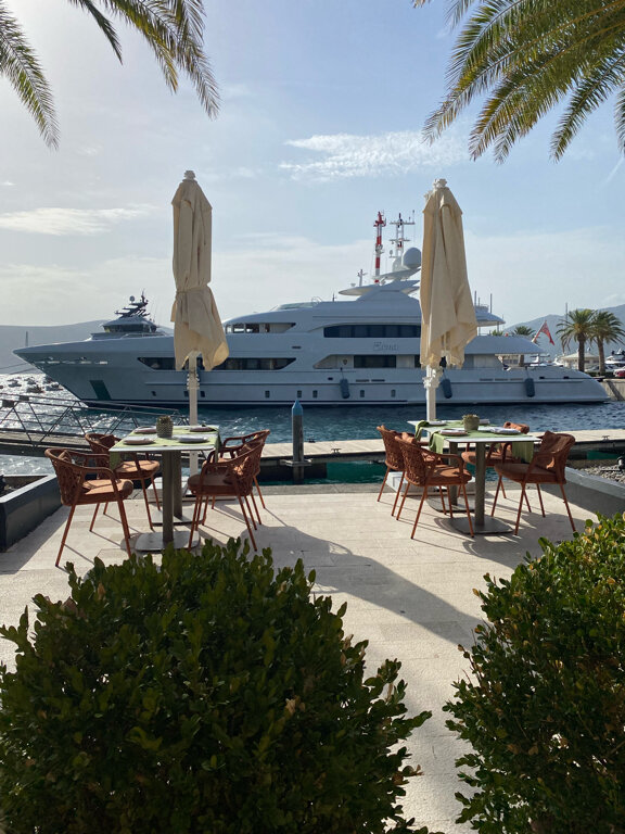 Фото Пальма