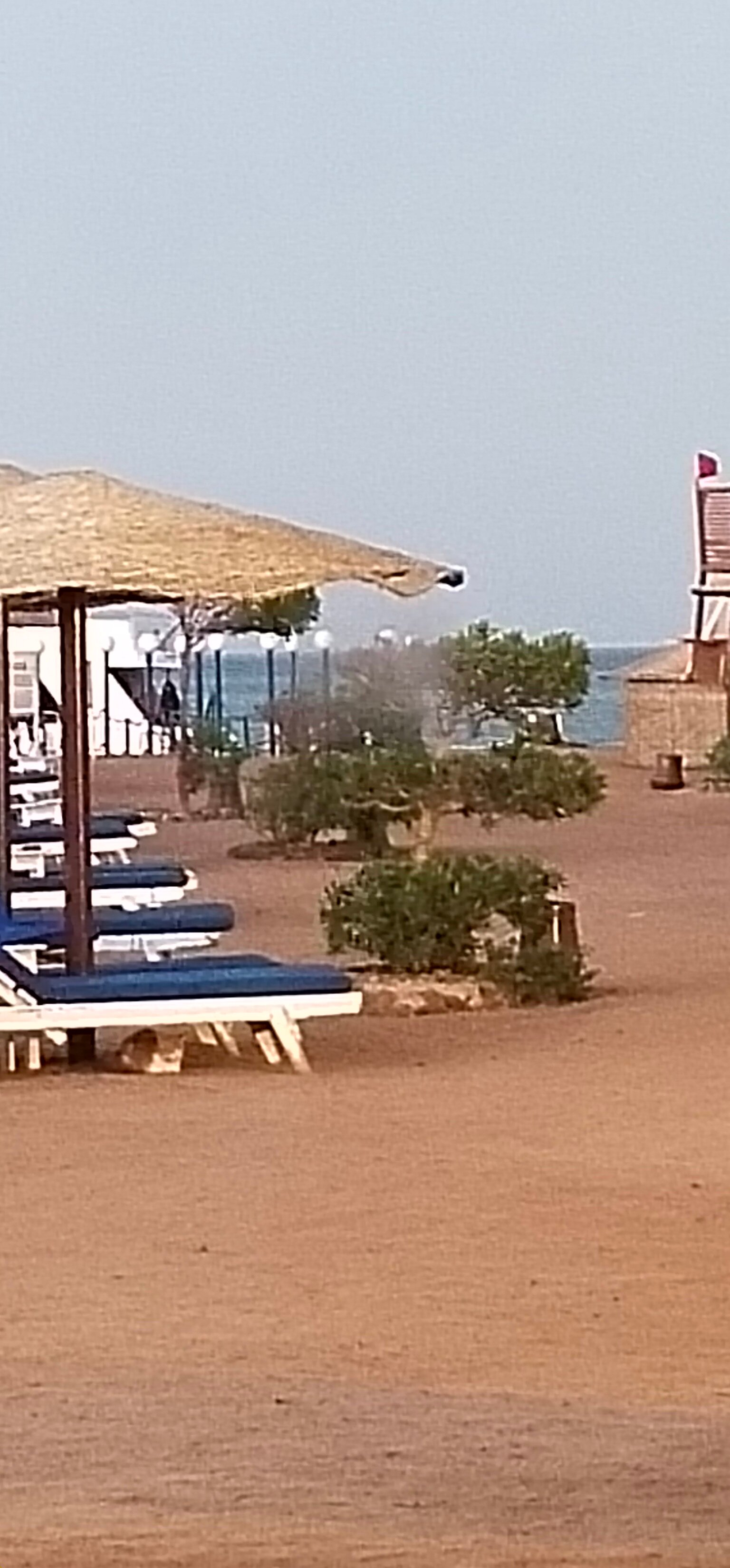 Фото Sea Star Beau Rivage Hotel