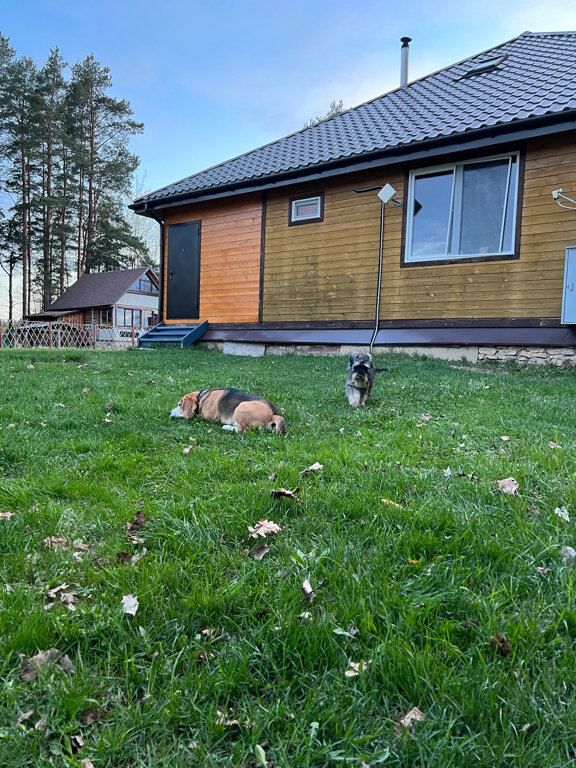 Фото Березовый хутор