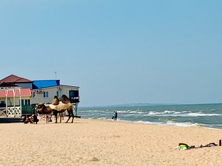 Пляж Пляж, Краснодарский край, фото