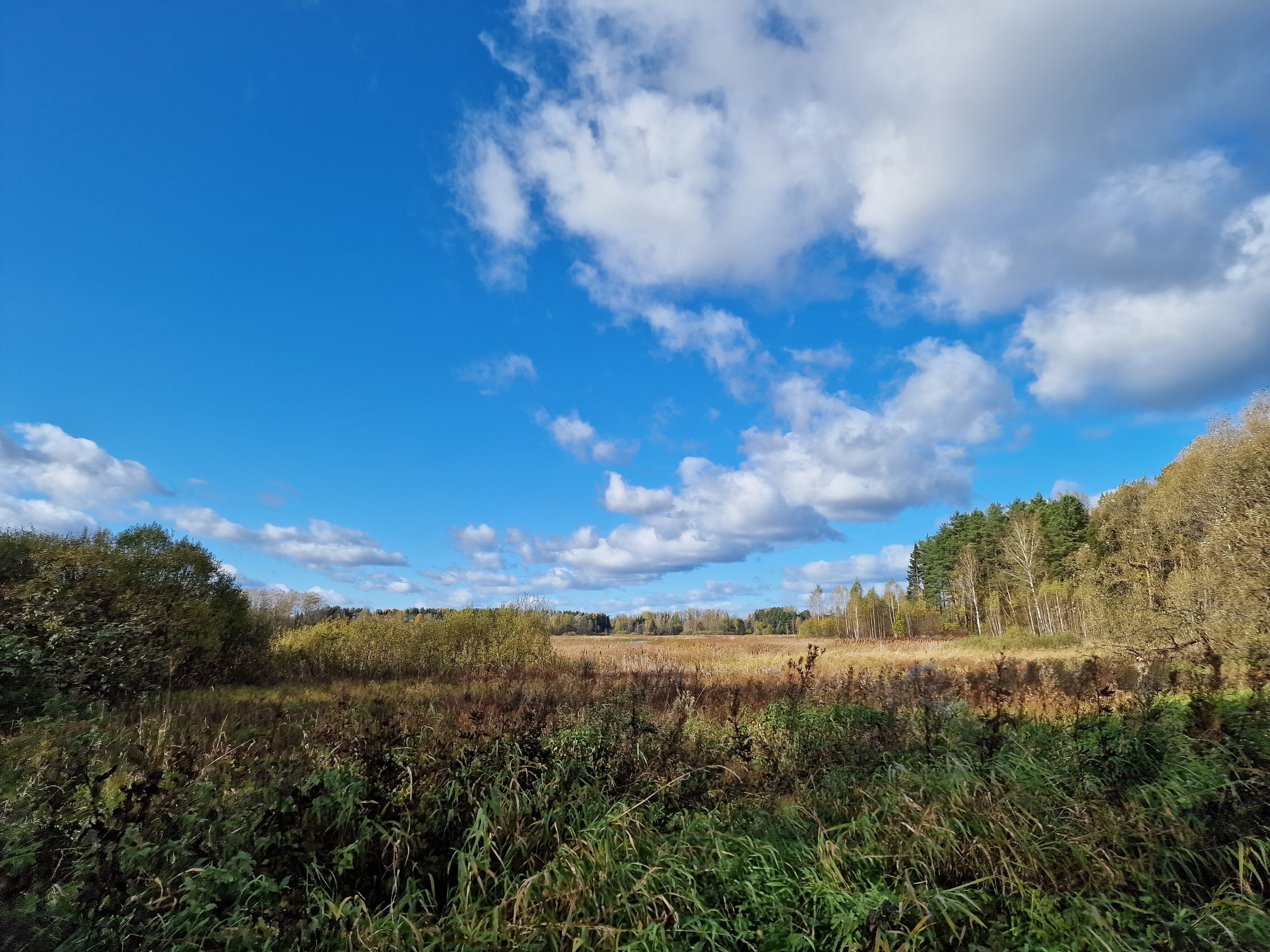 Фото Light House