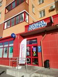 Ветеринарная аптека (Bolshaya Moskovskaya Street, 126) ، متجر للحيوانات الأليفة