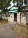 Arkhangelskoye lesnichestvo, Gbu, MLKh Rb (selo Arkhangelskoye, ulitsa Voroshilova, 1А) ، إدارة الغابات، إعادة التشجير
