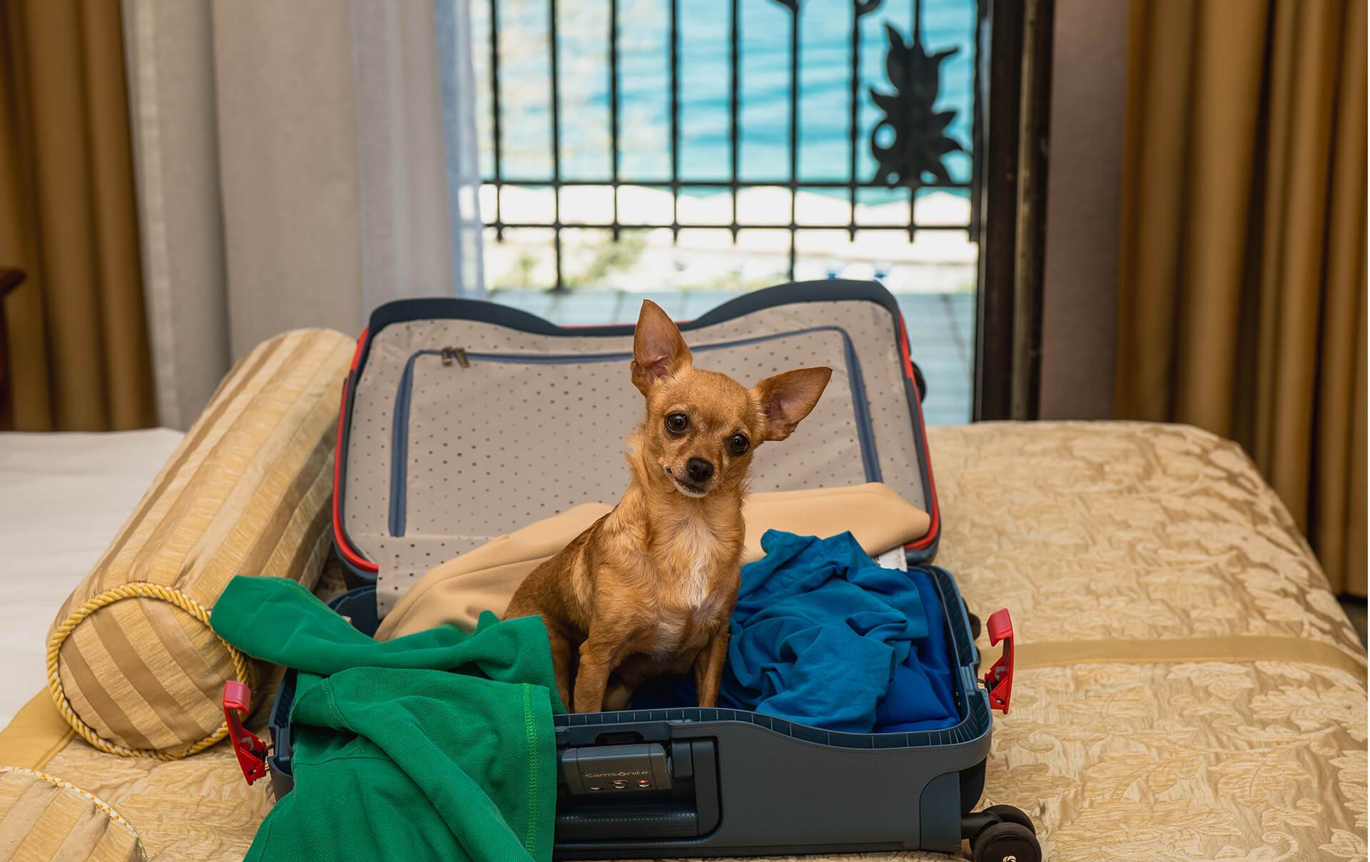 Фото Вятские улочки на улице Горького 57