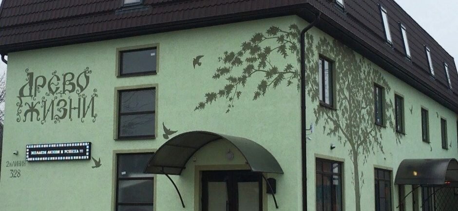 Фото Древо жизни