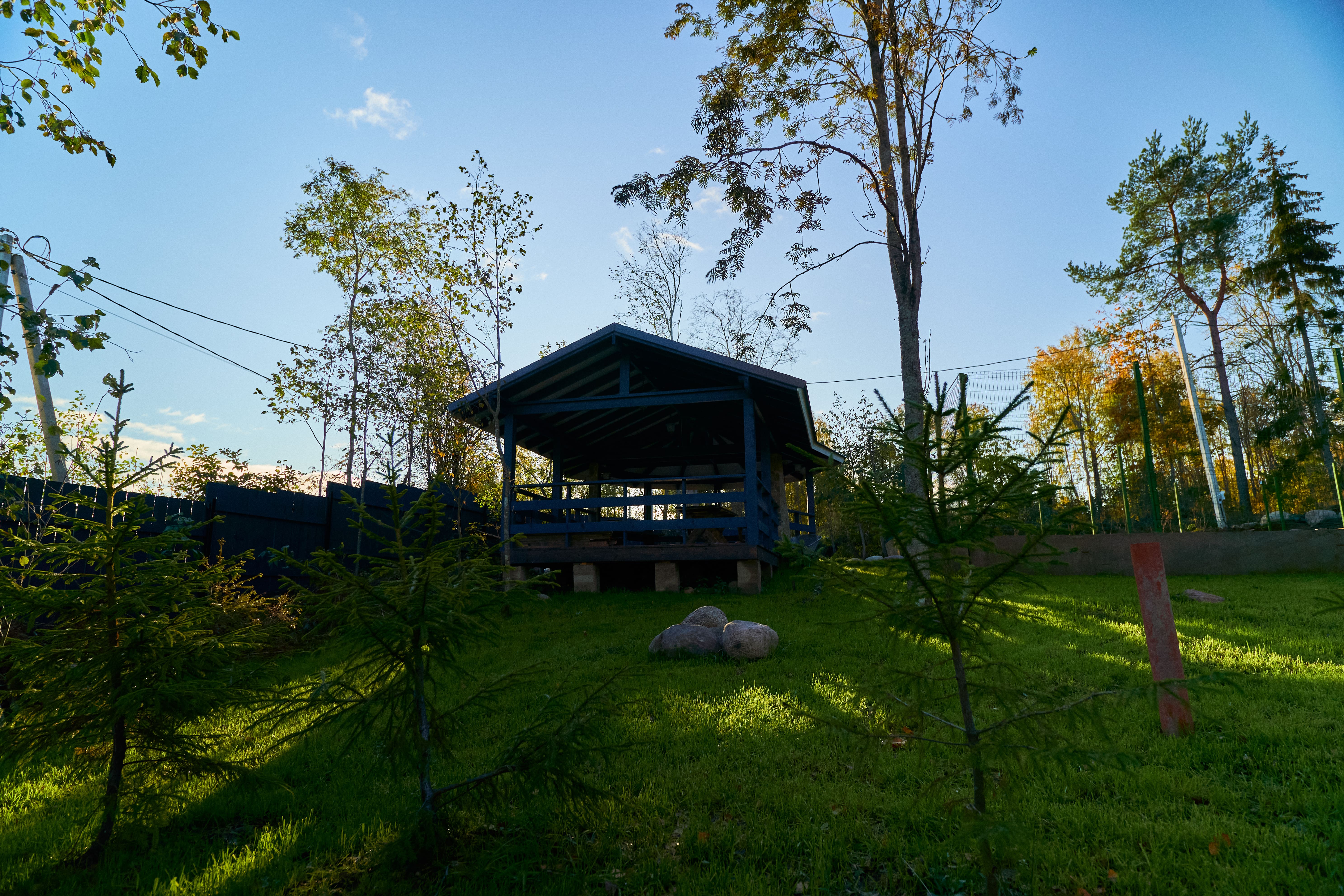 Фото Талони