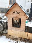 Omvd Rossii po Kirzhachskomu rayonu (ulitsa Seryogina, 16А) ، قسم الشرطة