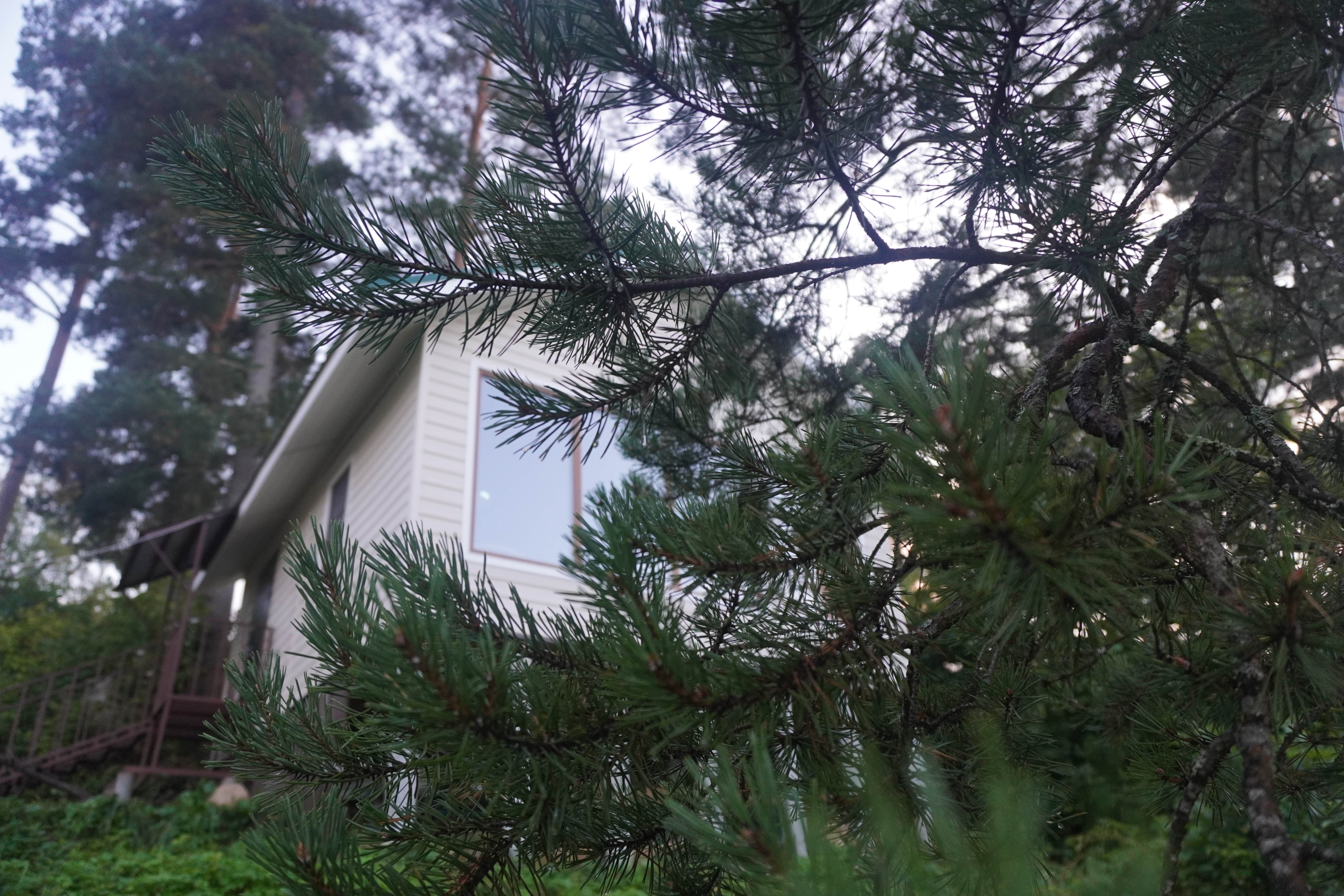 Фото Домик на горке