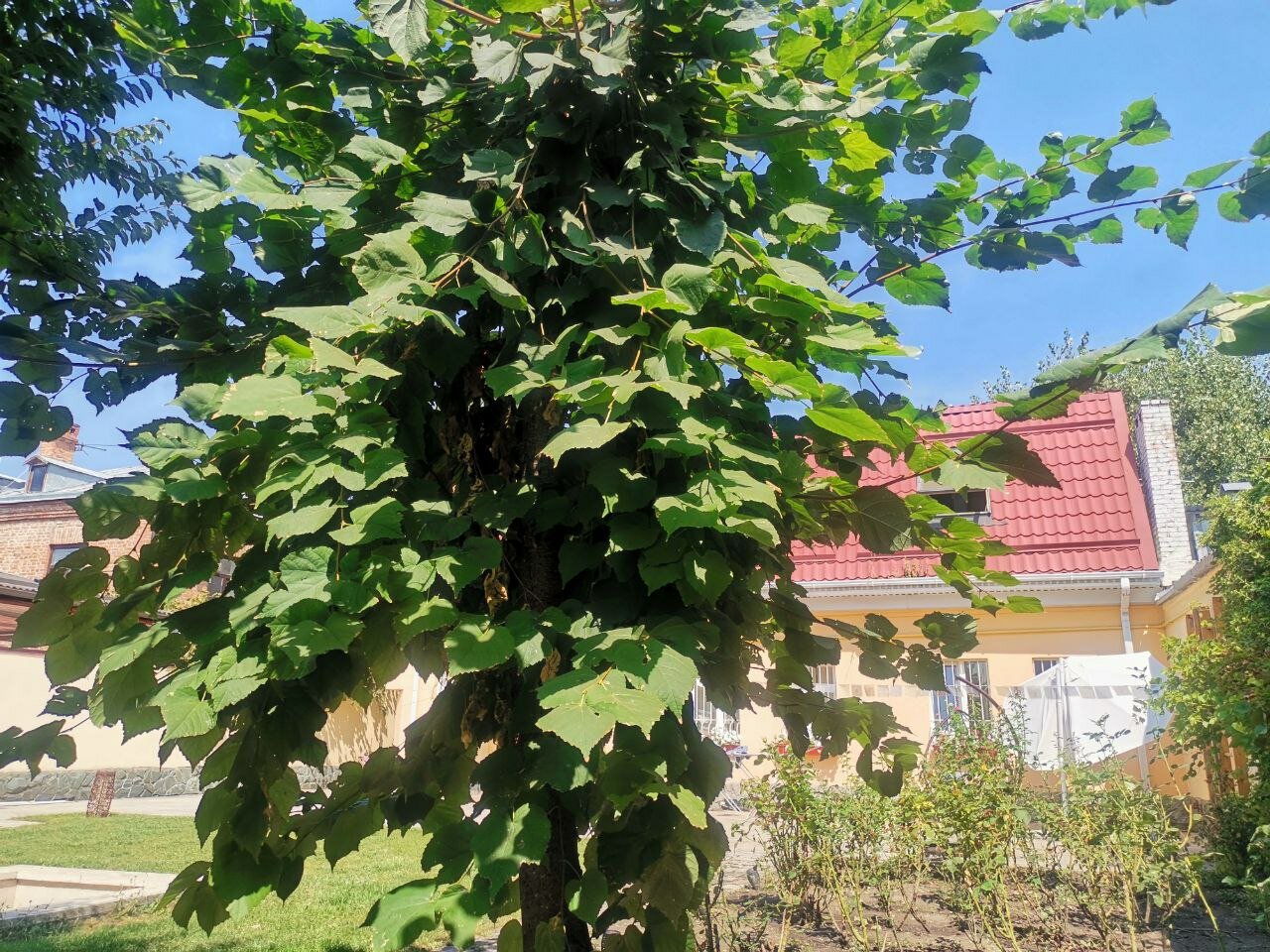 Фото Хостел 5642