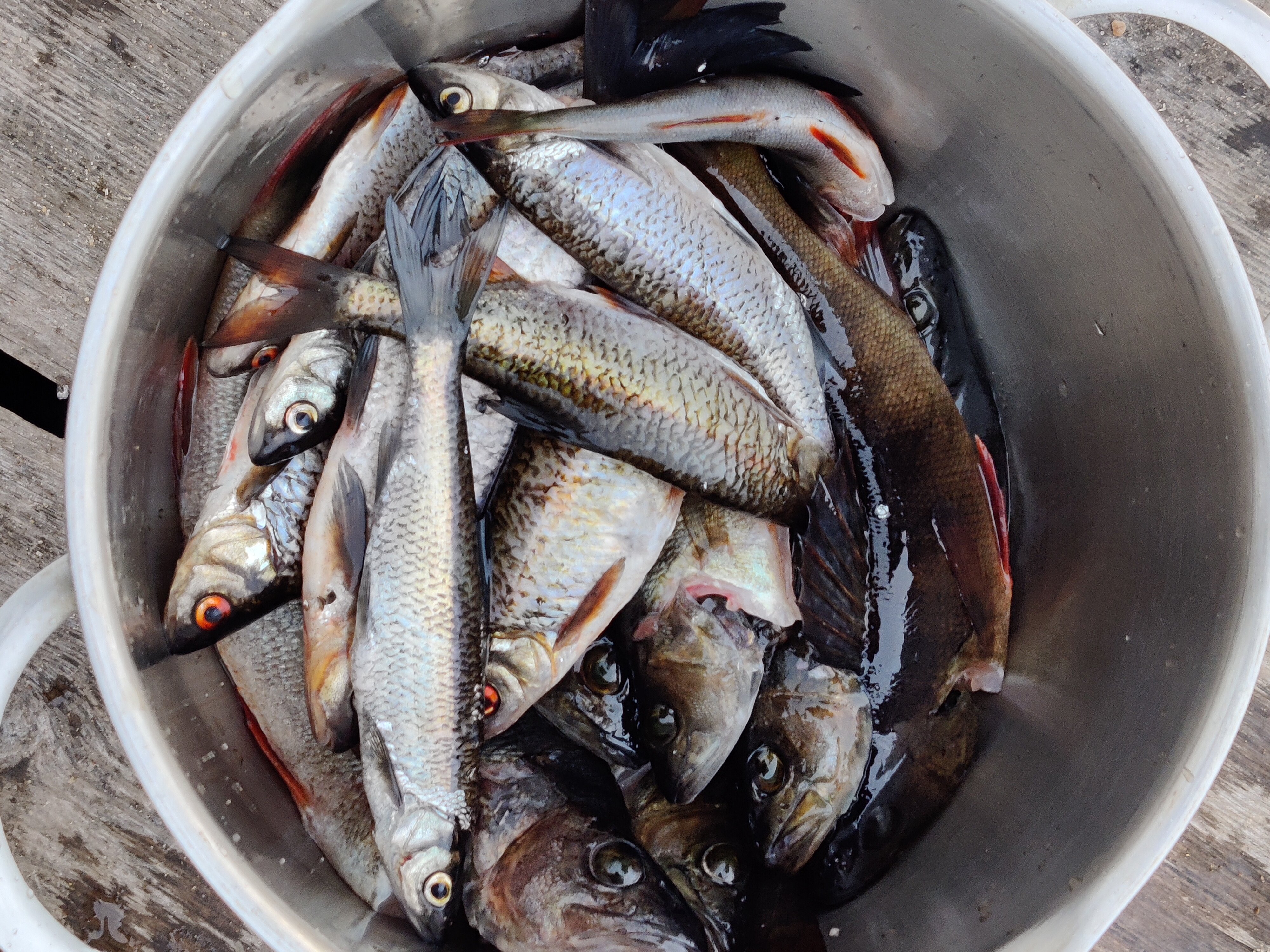 Фото Карельские зори