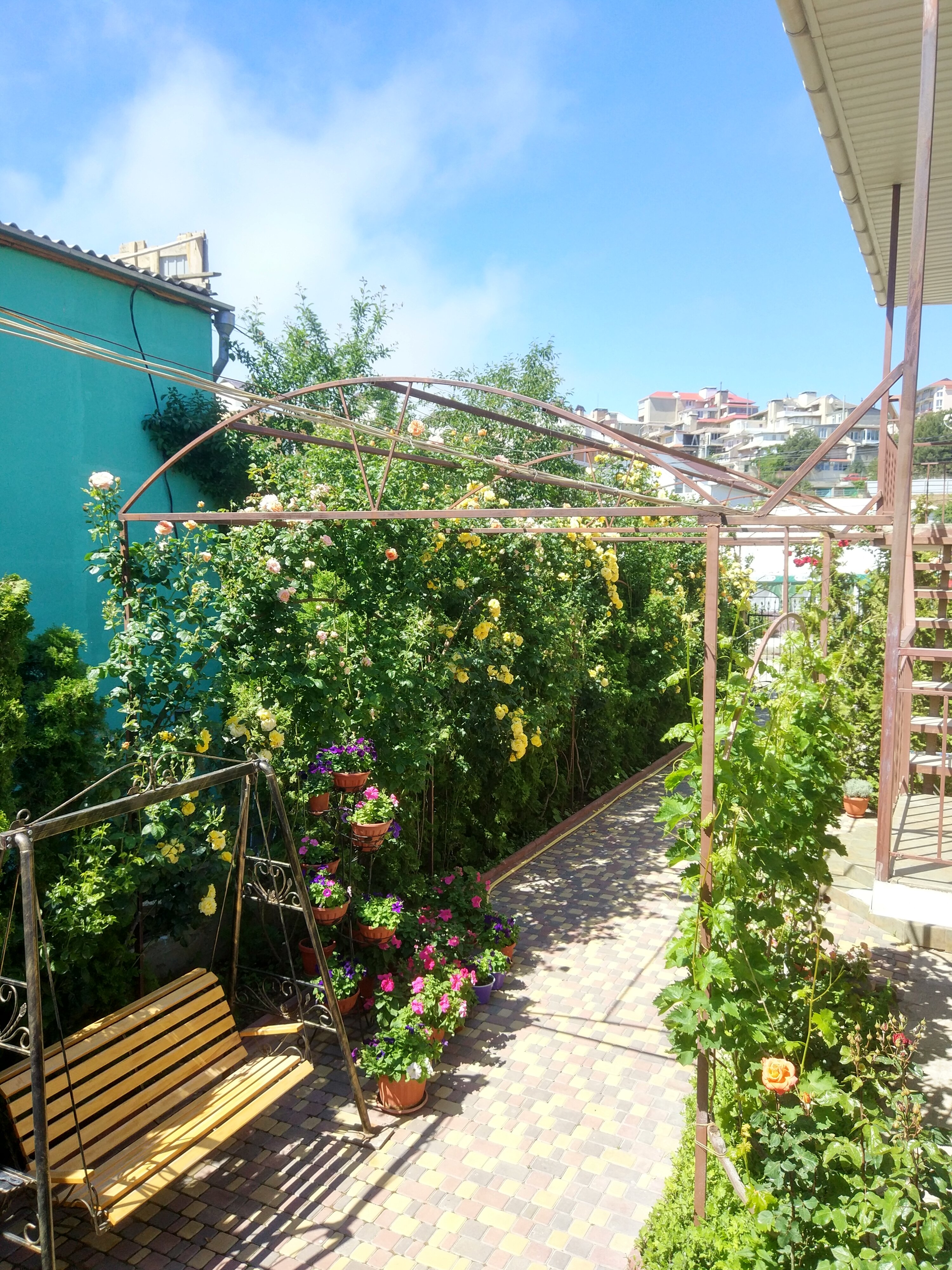 Фото Ассоль Судак