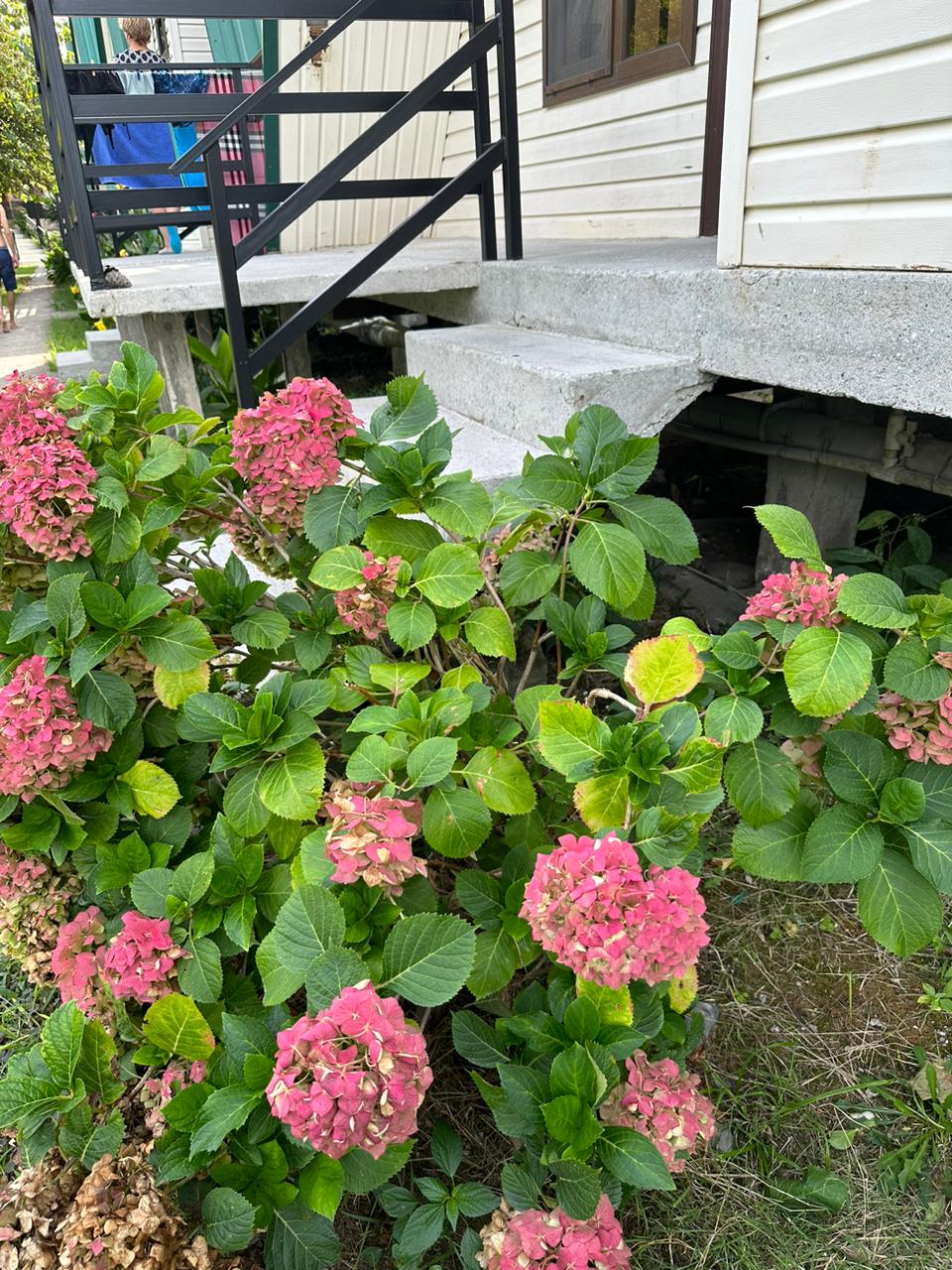 Фото Пансионат Кяласур