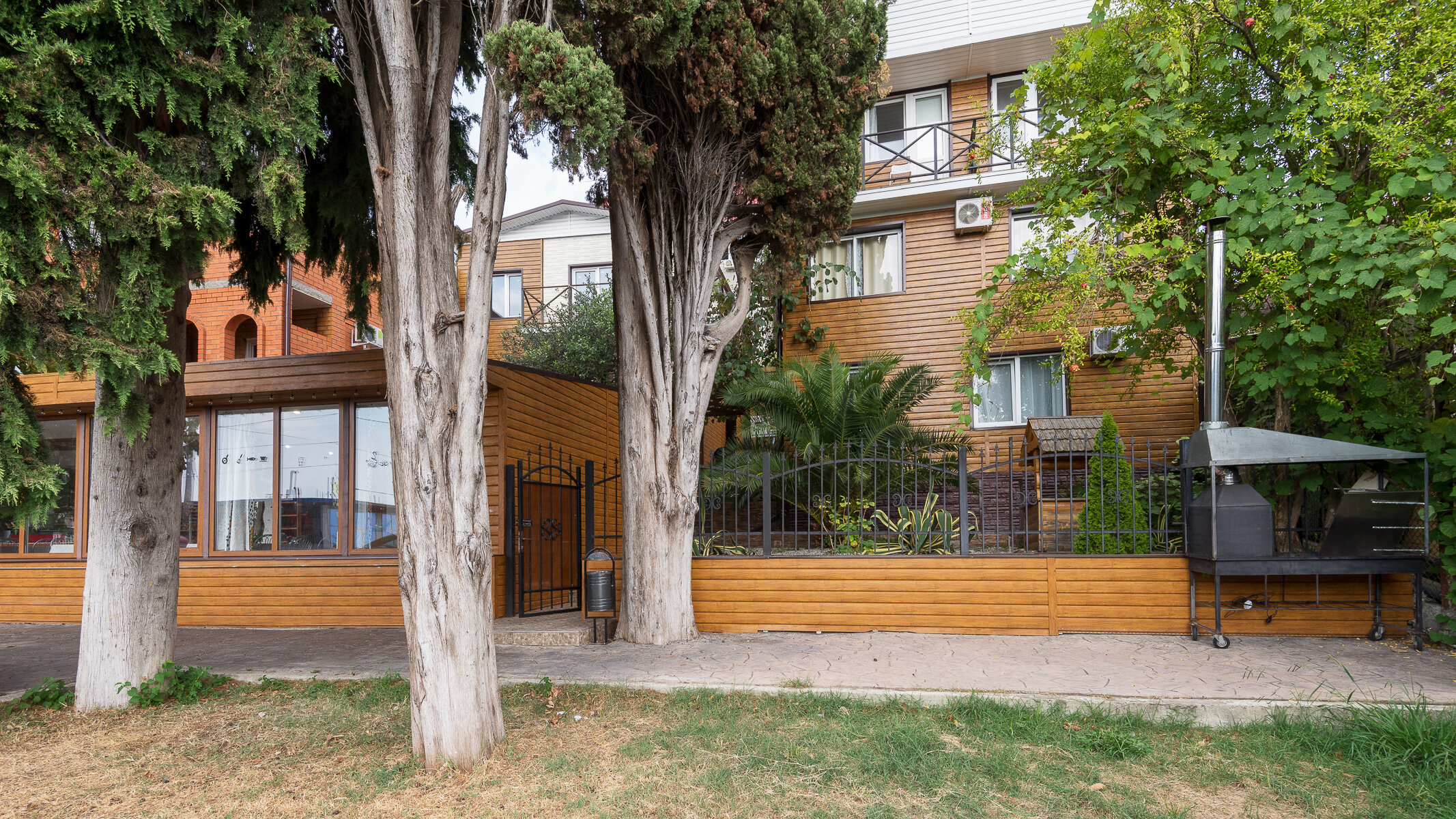 Фото Апельсин