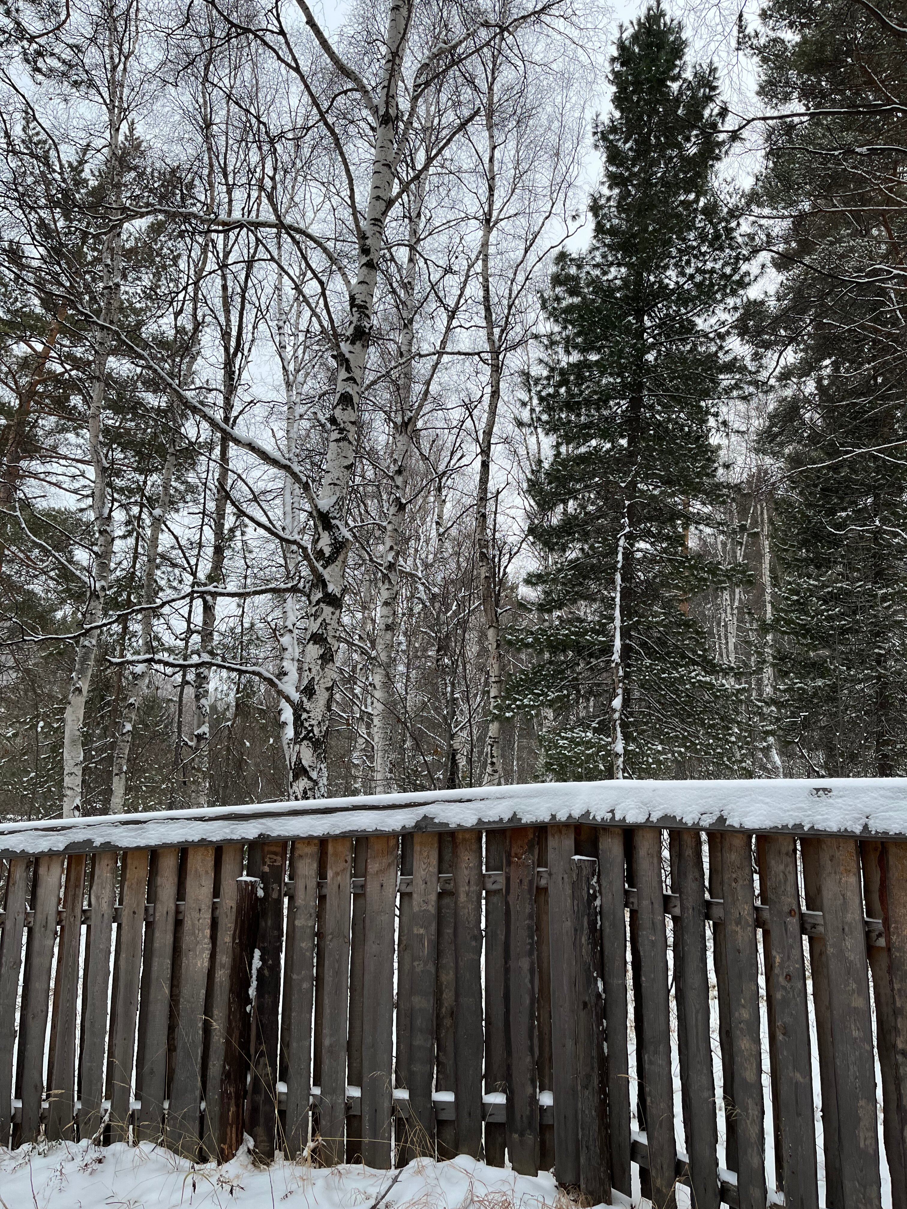 Фото Усадьба Байкальский край