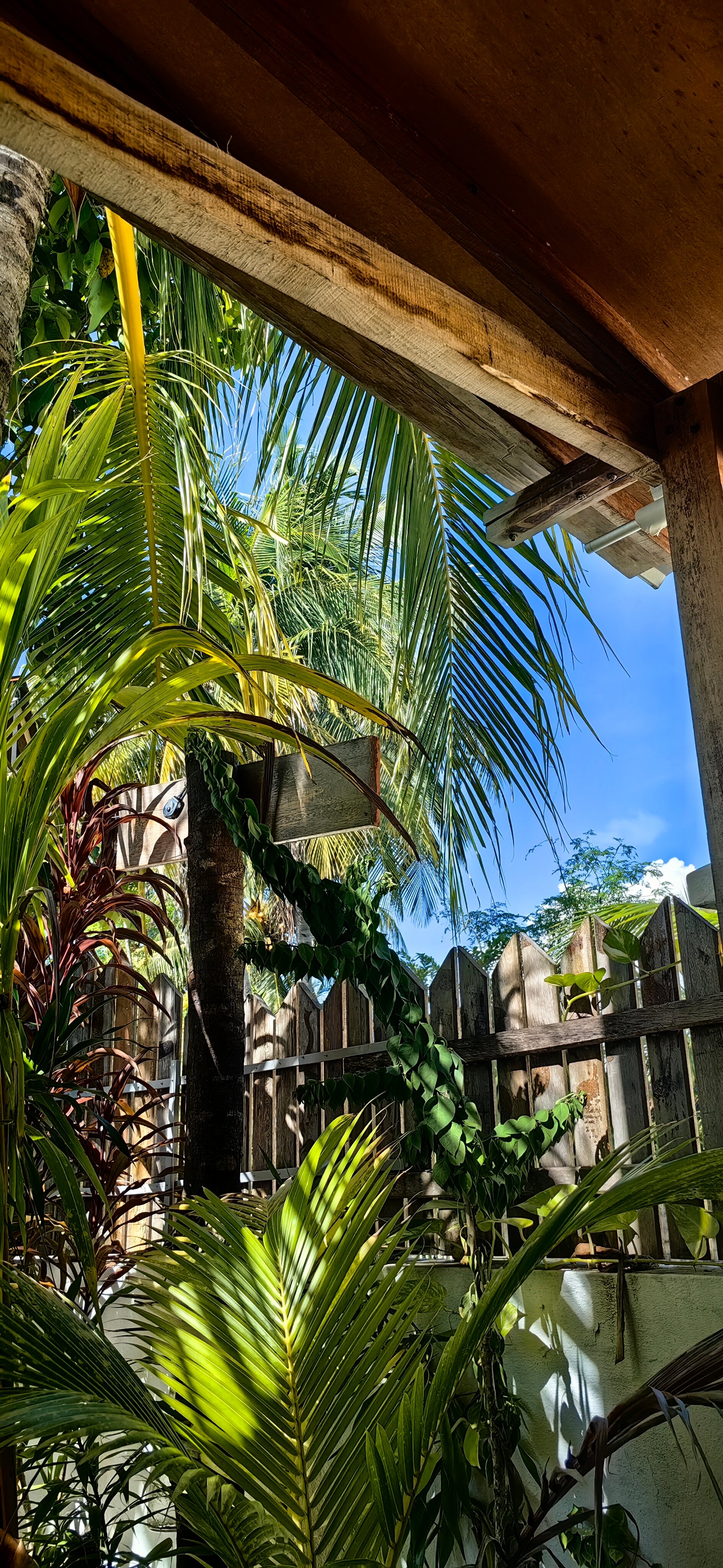 Фото The Sunrise Huraa