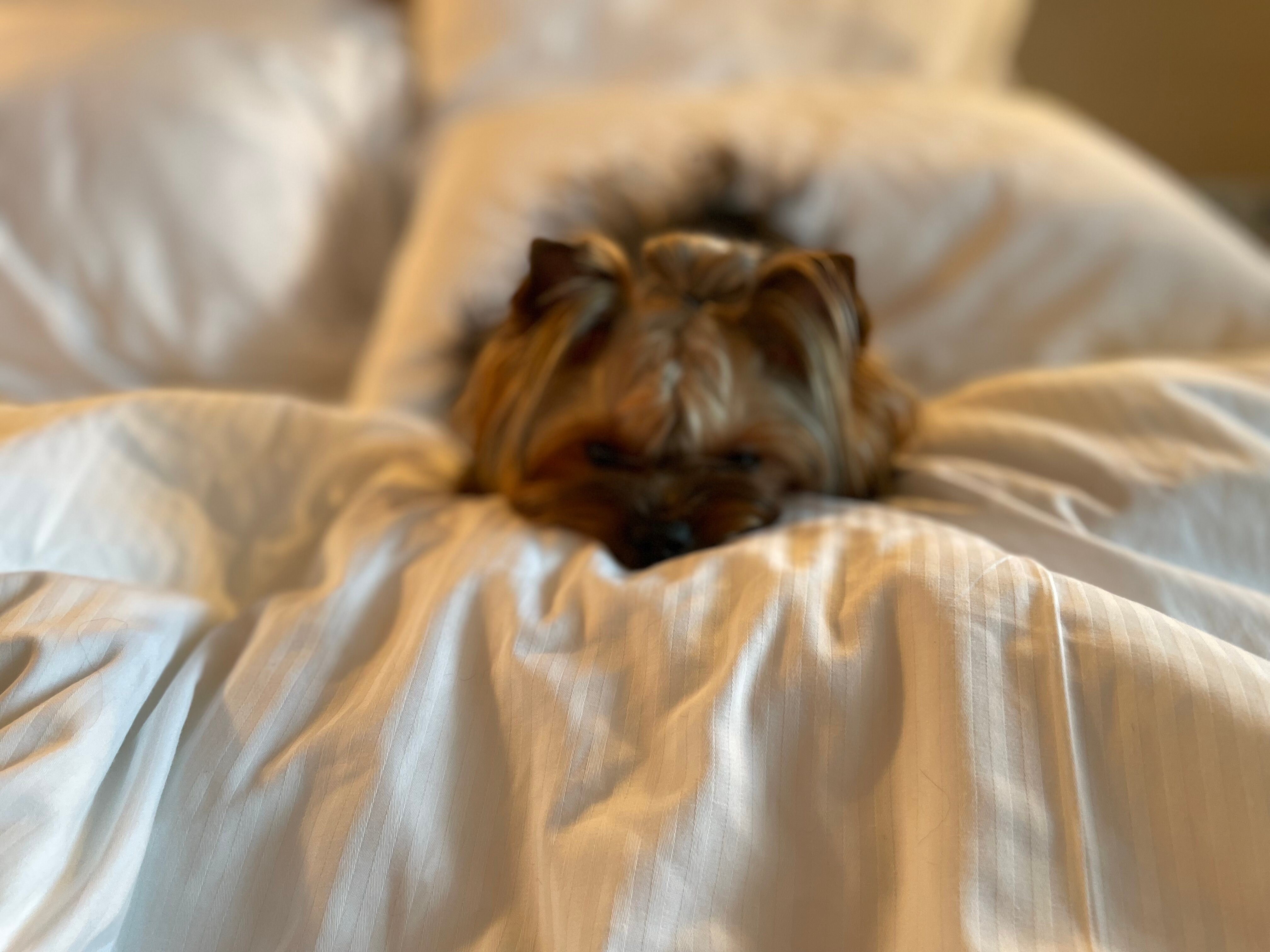 Фото City Park Hotel