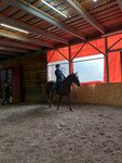 Matador (Uglichskaya Street, 13Г), horse riding