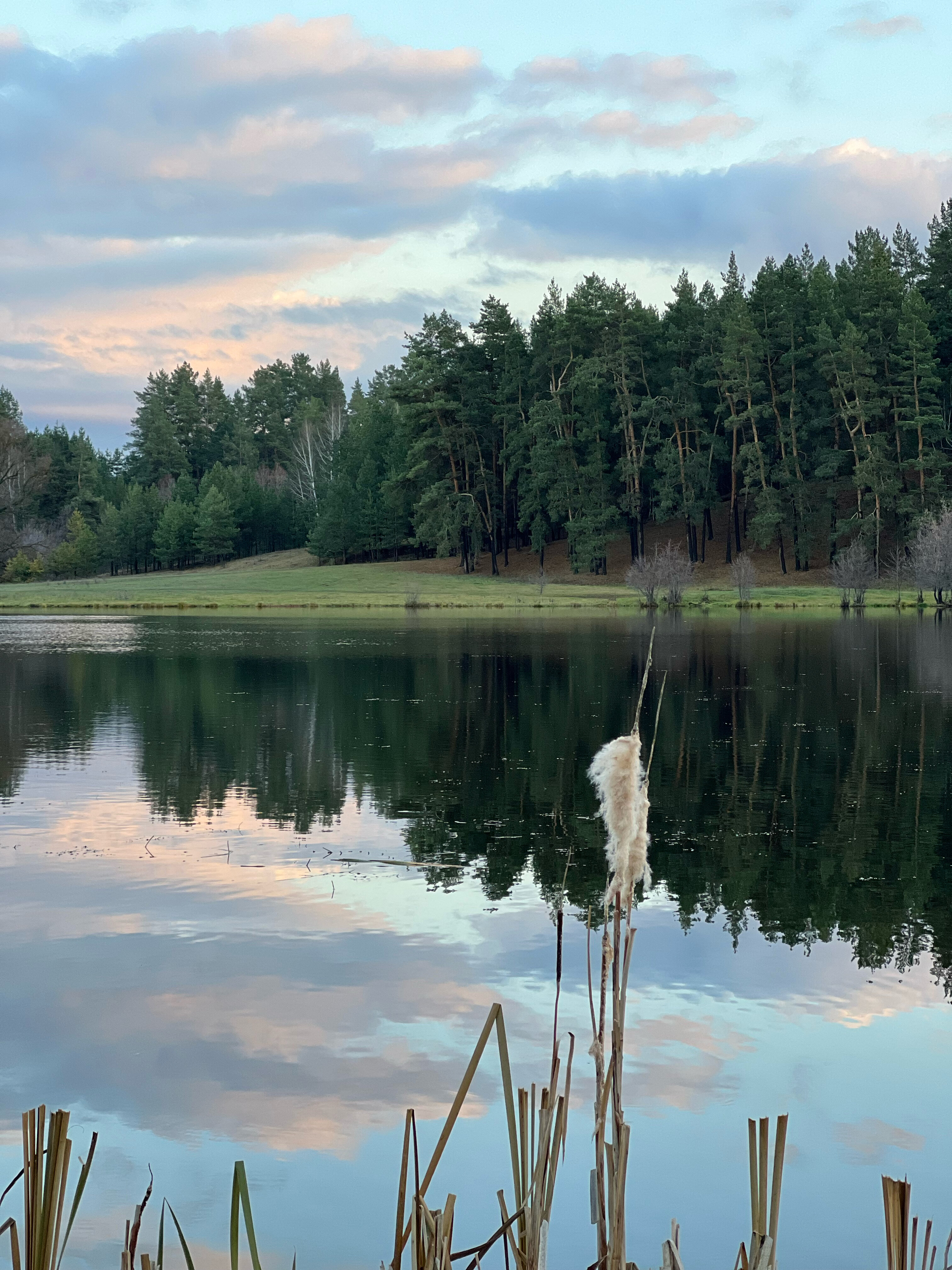 Фото Домик Пчеловода