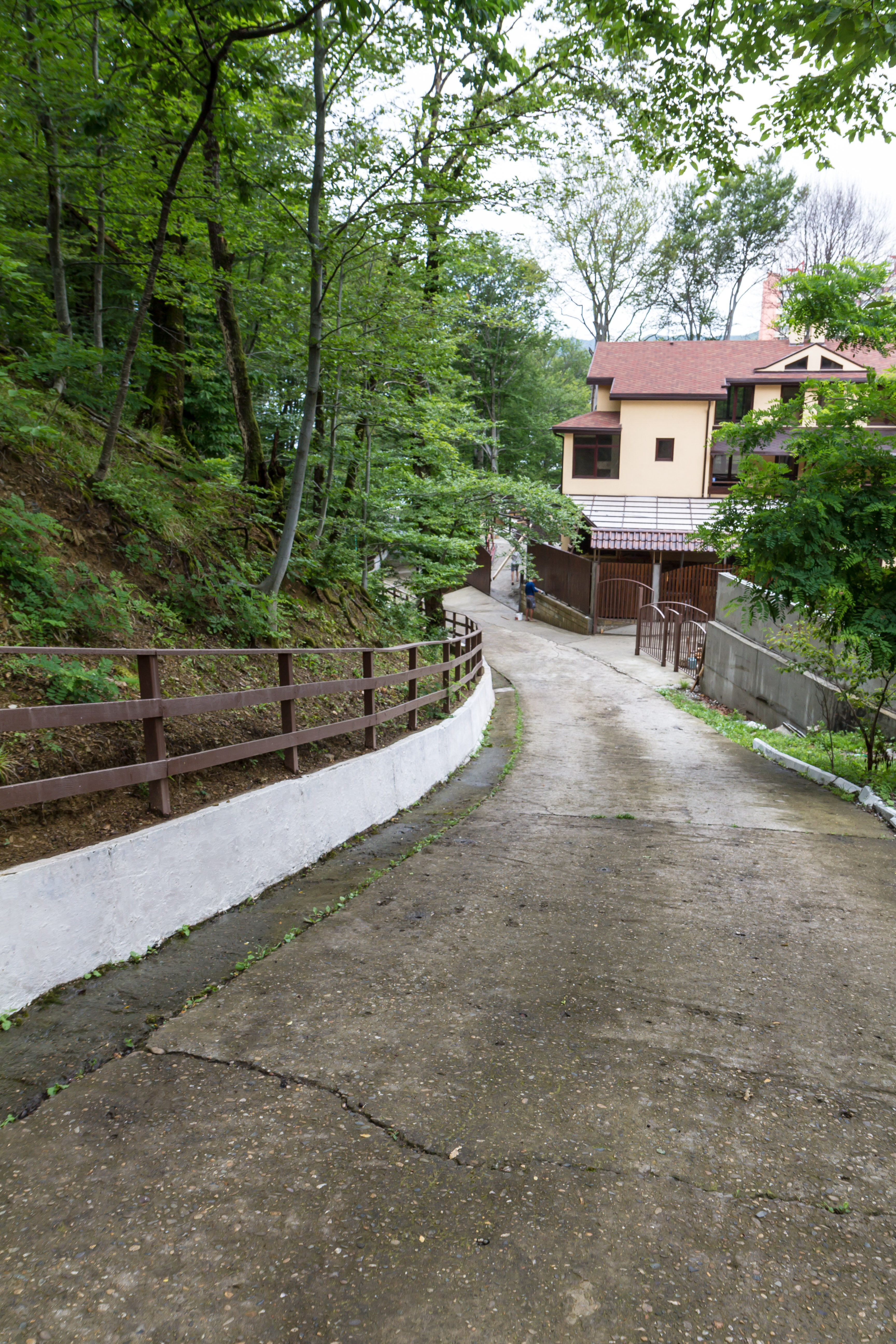 Фото Калипсо