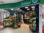 Зеленый (mikrorayon Olimpiyskiy, 63), flower shop