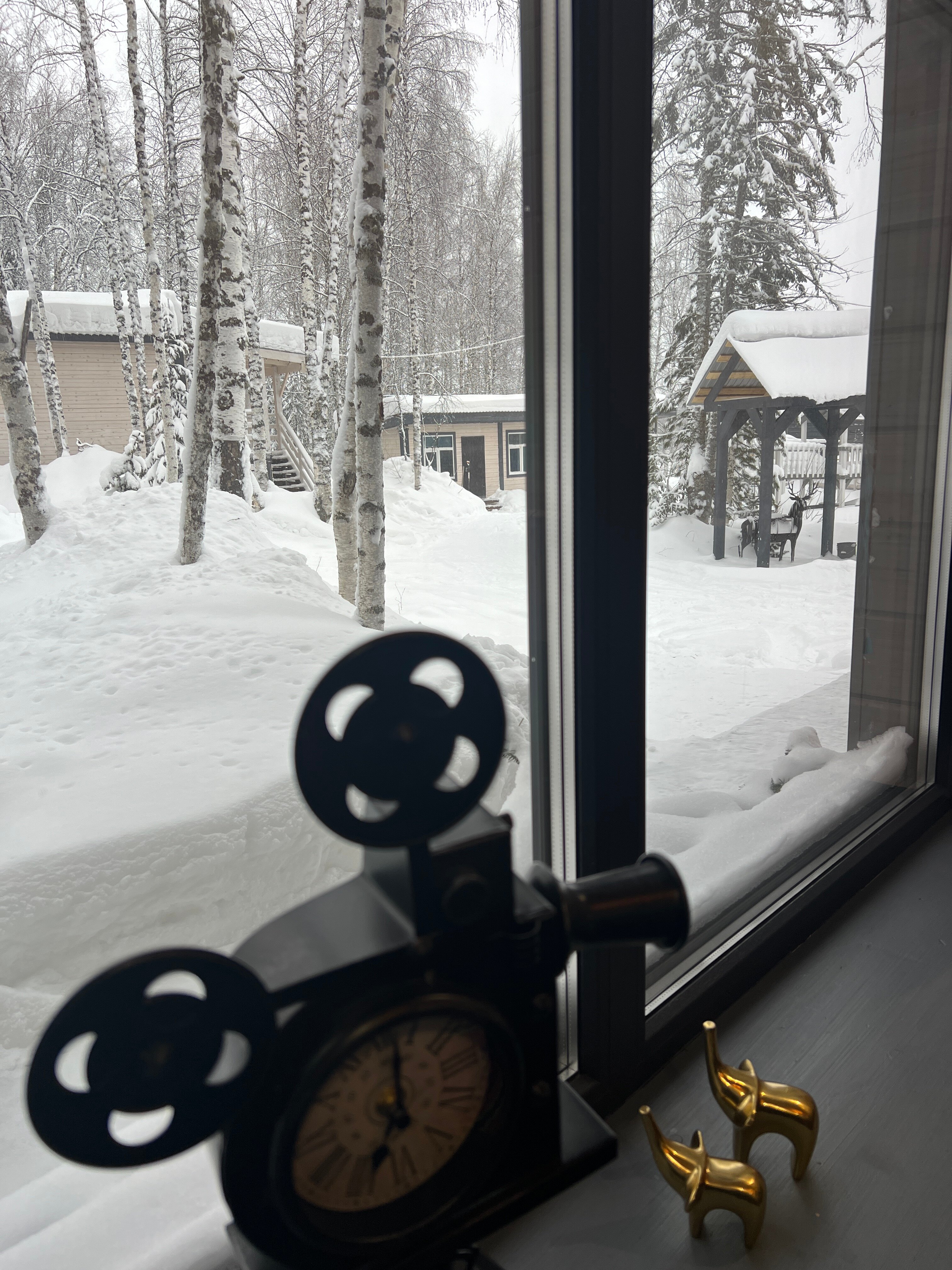 Фото Брусника № 1