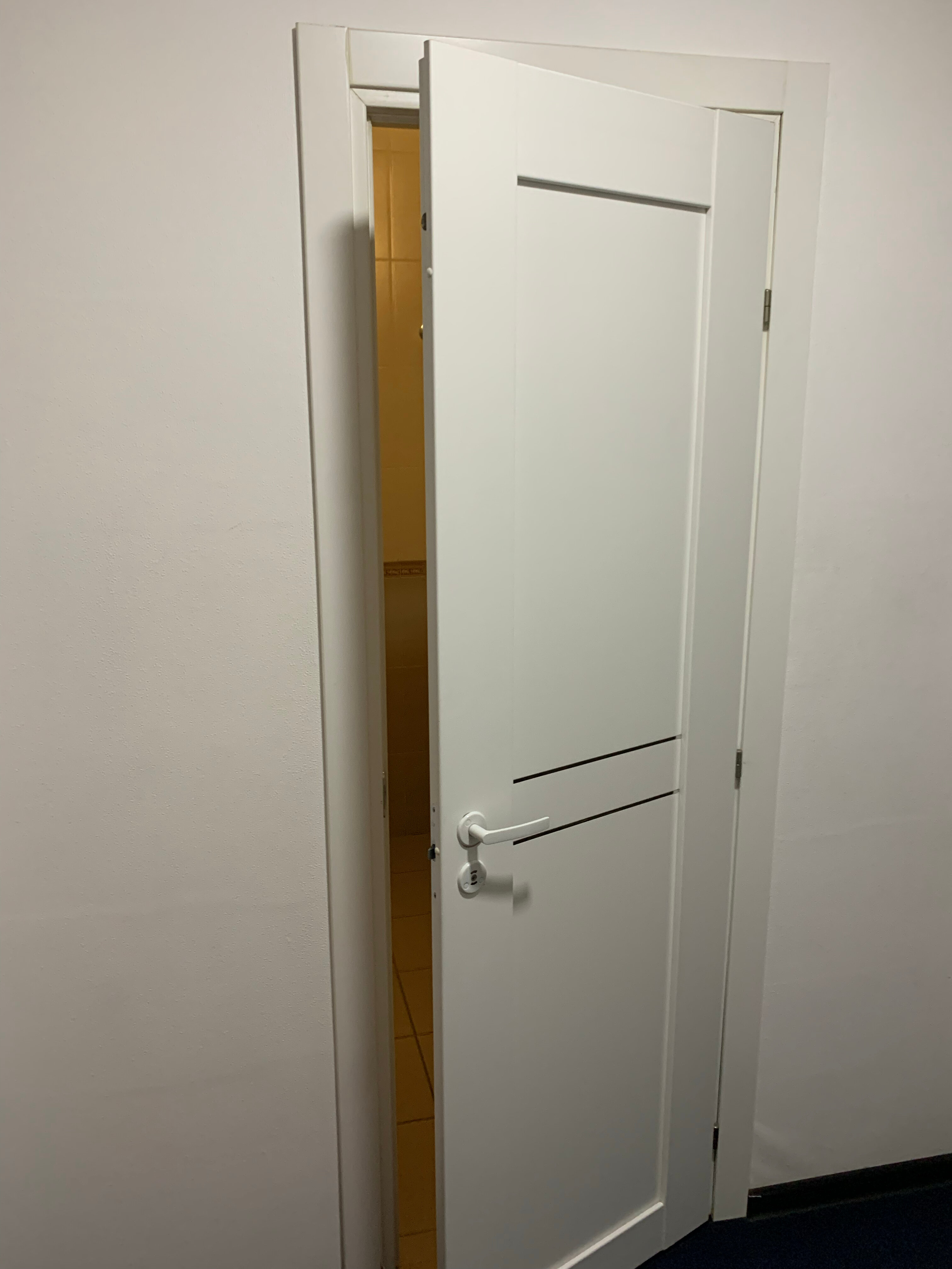 Фото Кипарис