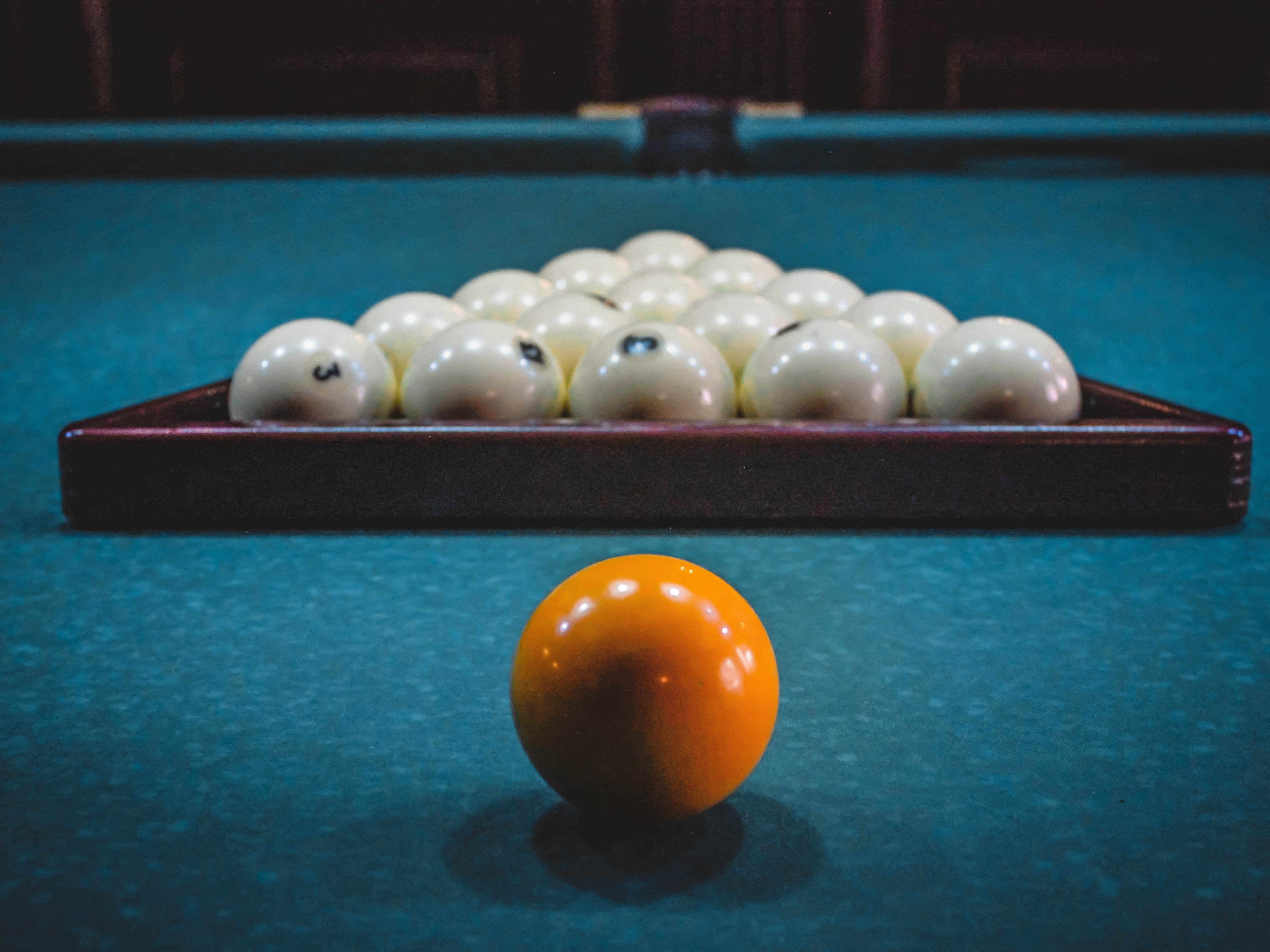 Фото Ореховая роща