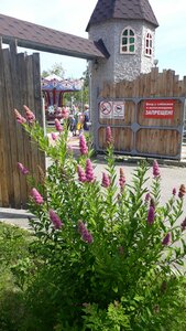 مدينة الملاهي Парк аттракционов ، ، صورة
