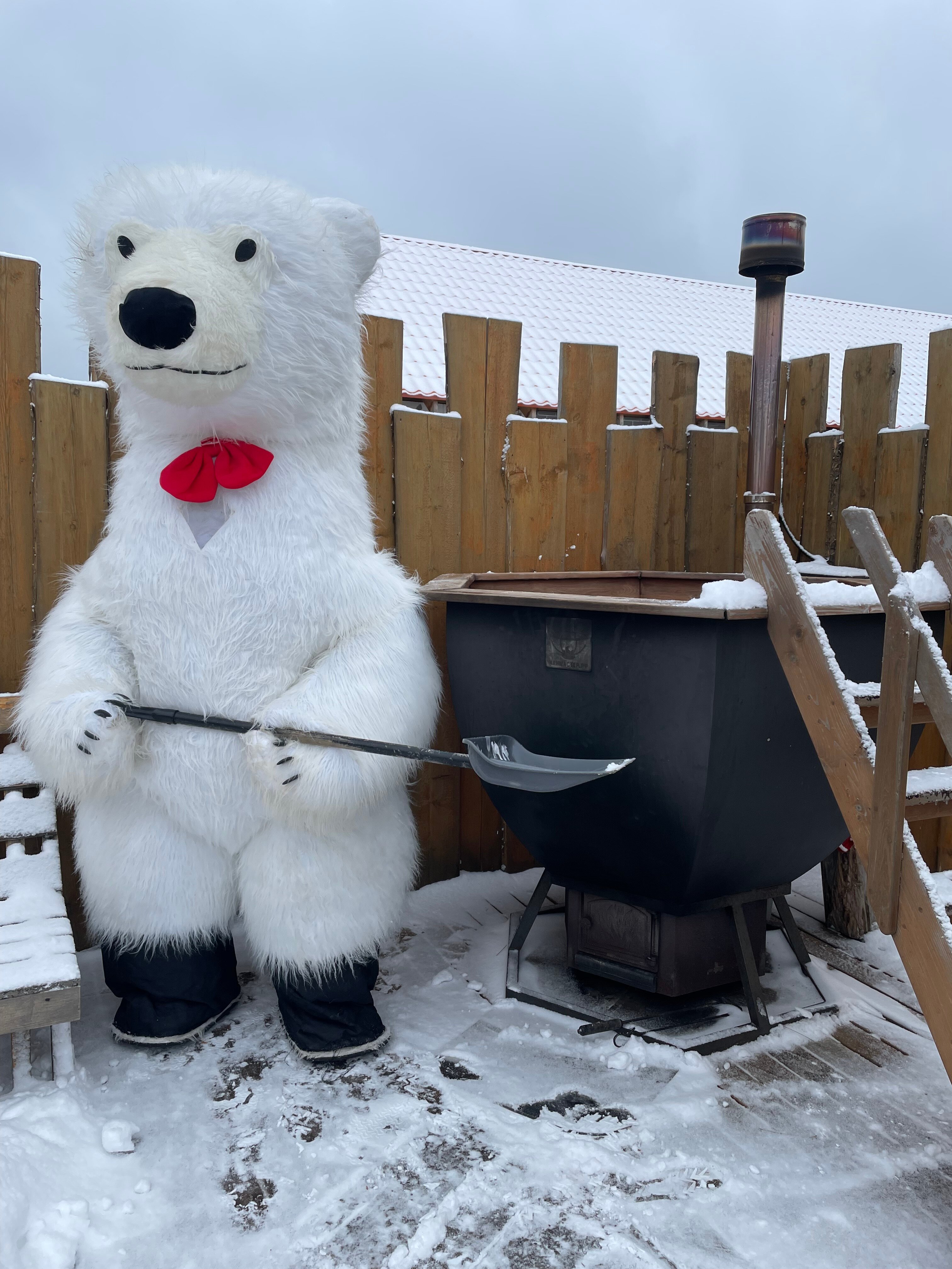 Фото Пятый сезон